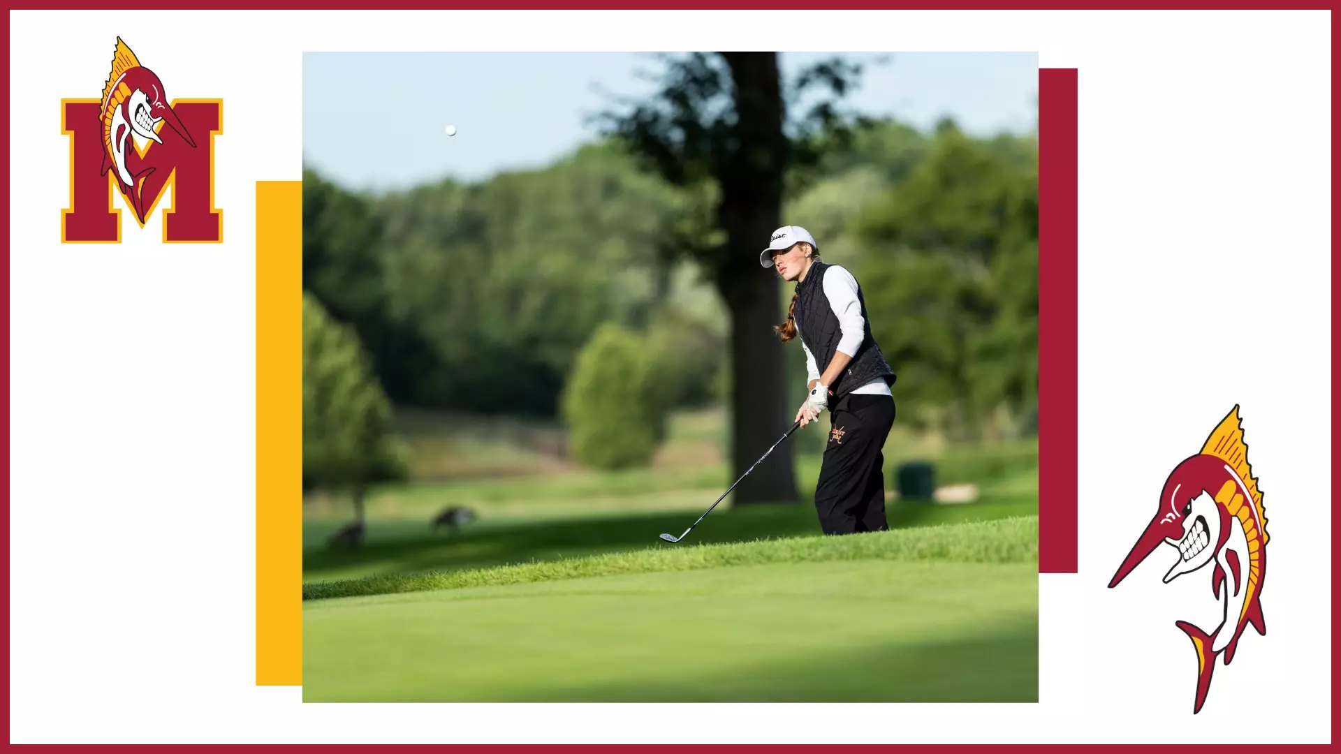 Golfer in white cap and black vest chips a shot on a golf course.