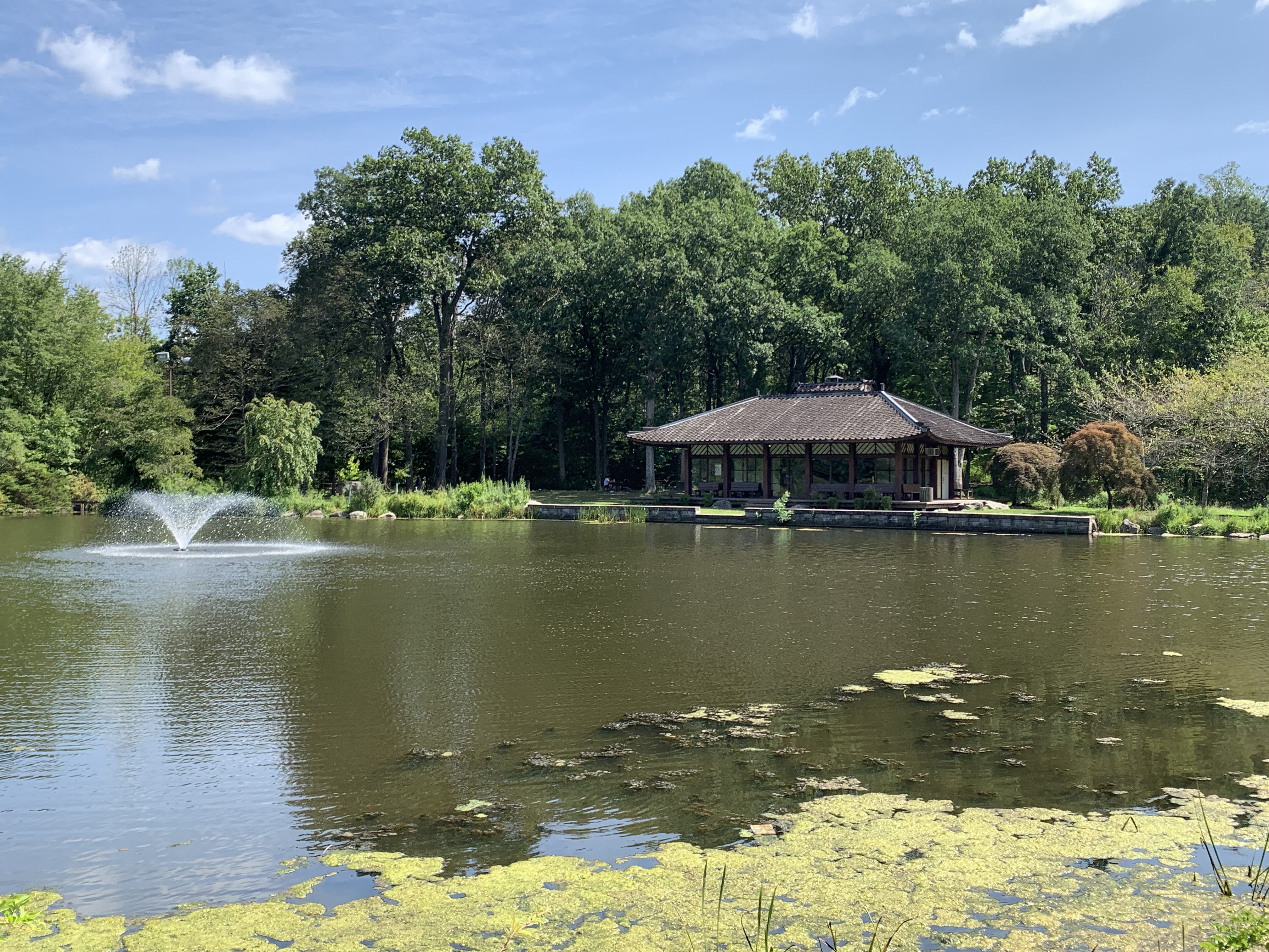A scenic park pond with a water fountain, lily pads, and a pavilion amid trees.