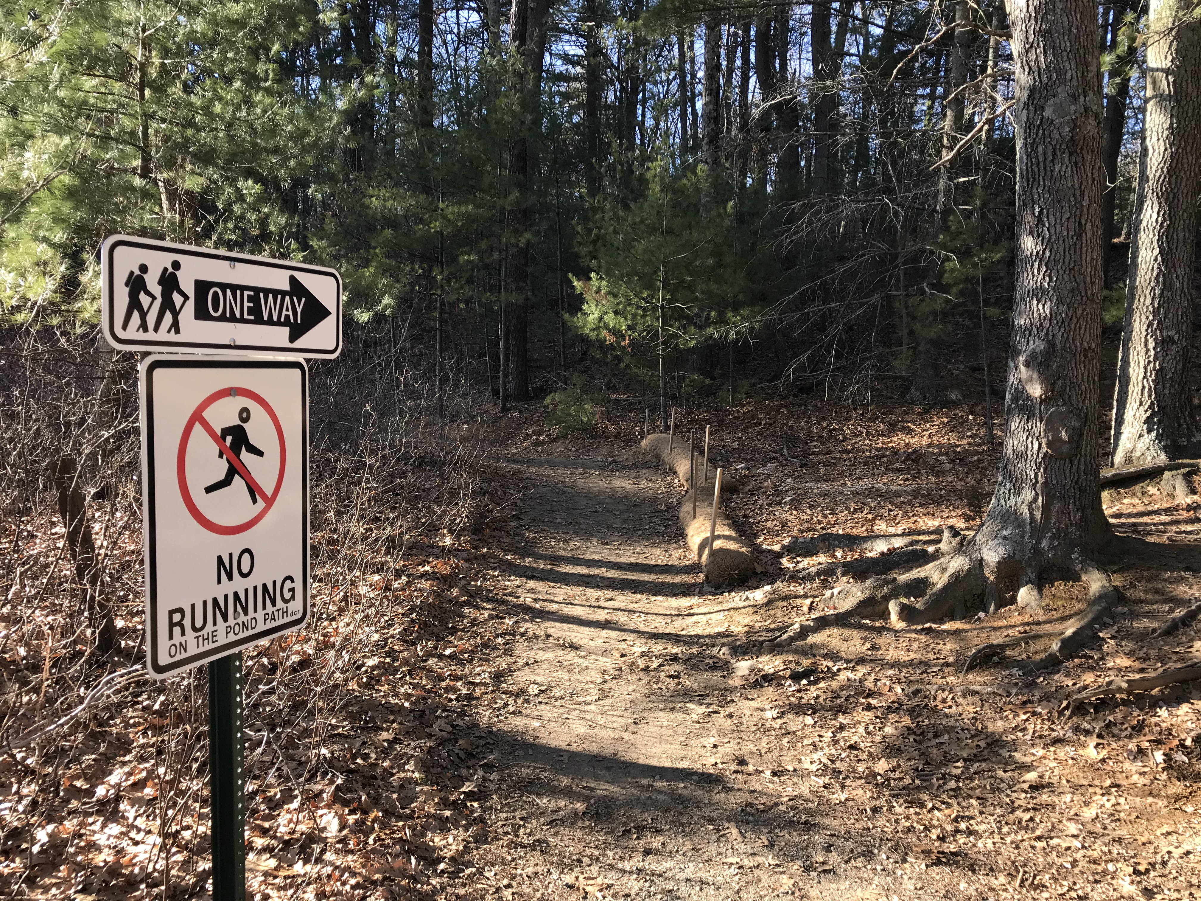 One Way and No Running on the Path signs at a wooded trail entrance.