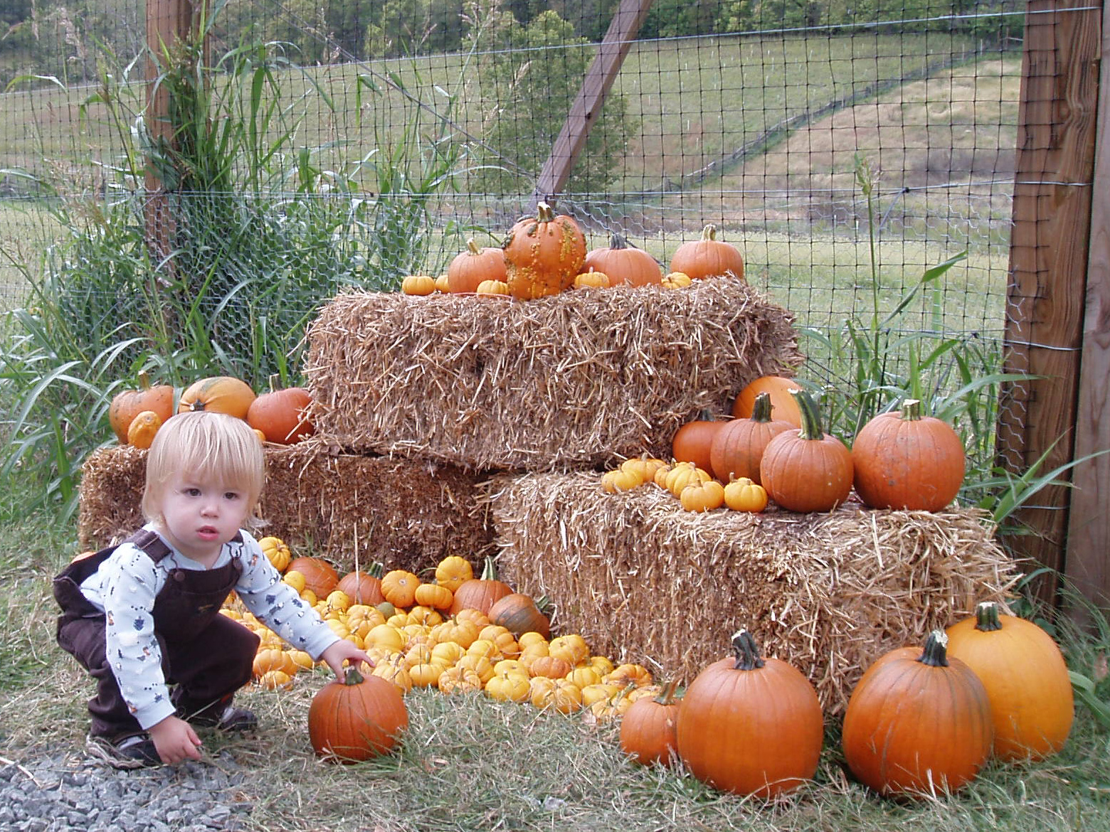 A toddler crouches beside a hay bale display stacked with orange and yellow pumpkins outdoors.