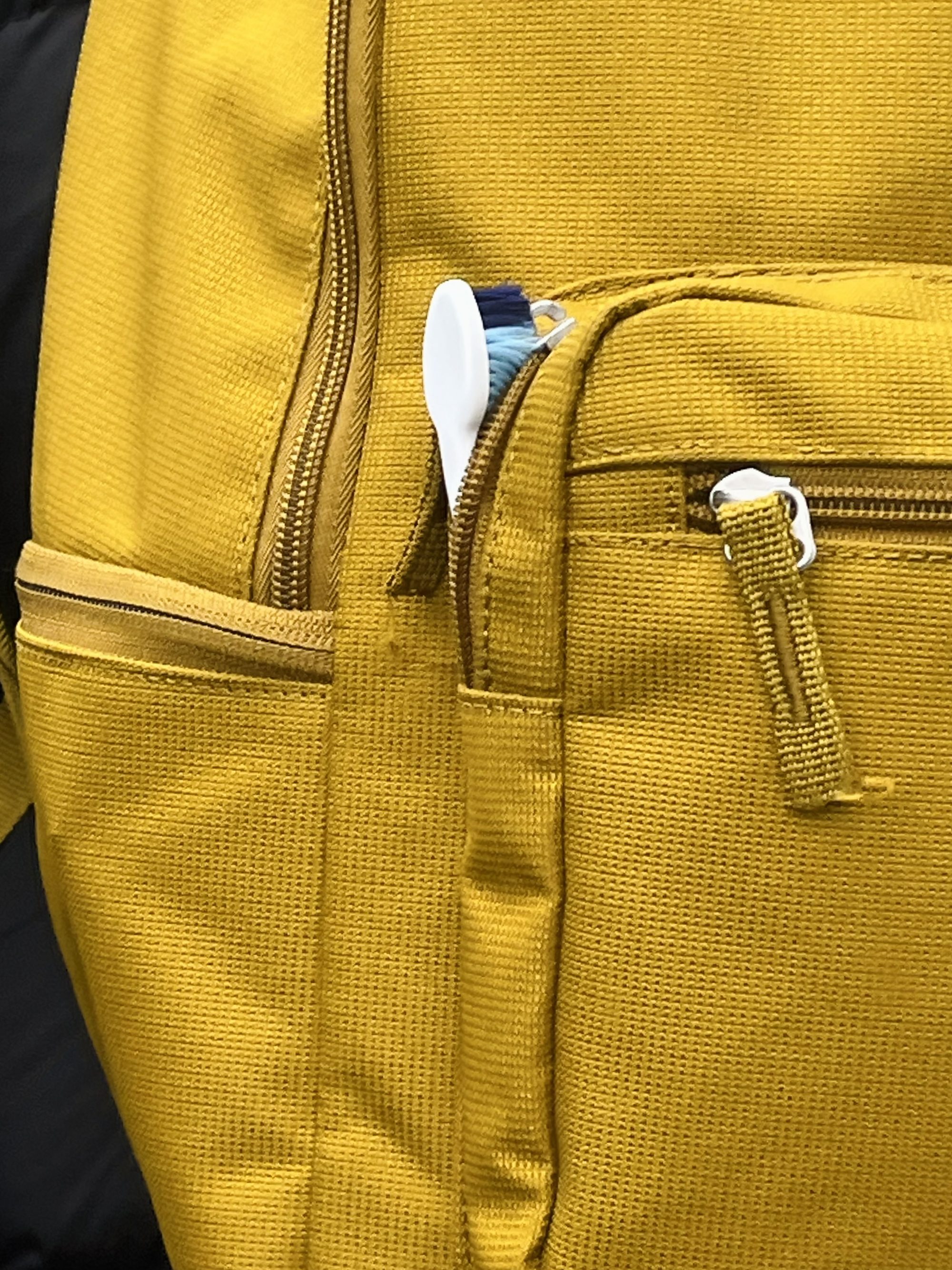Toothbrush in the backpack