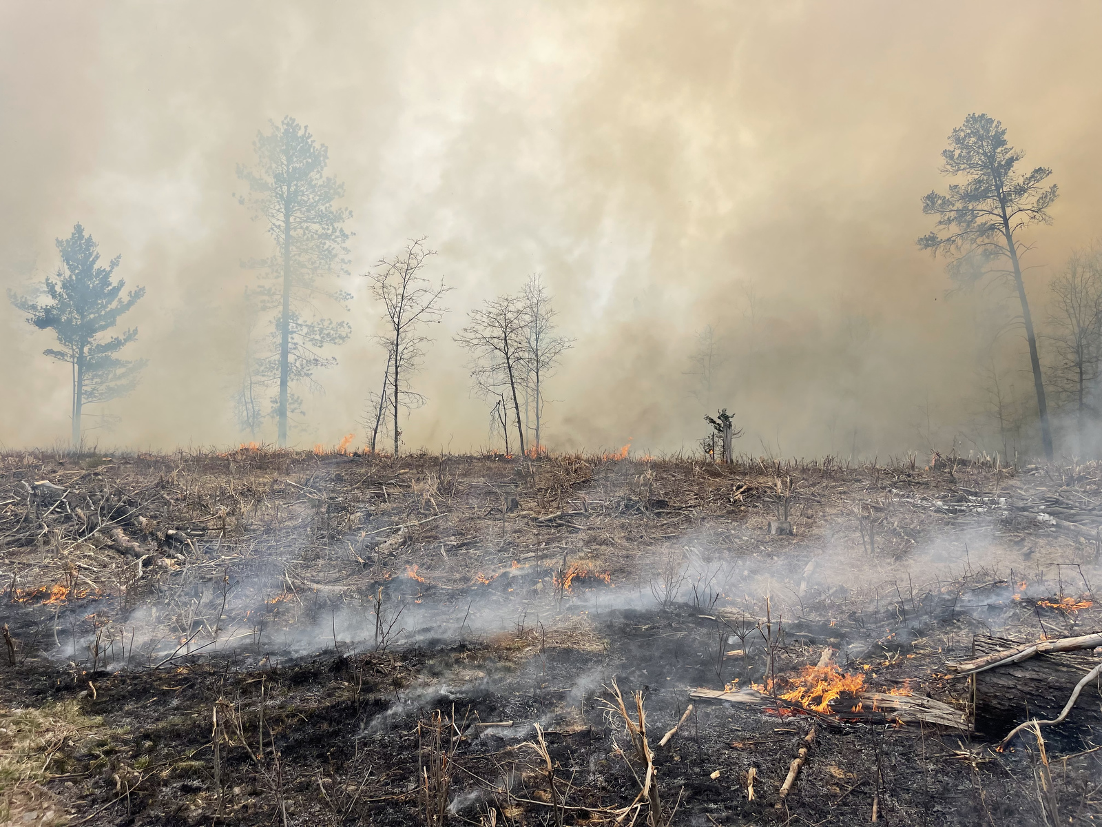 Low flames and smoke spread across a charred, smoldering forest floor.