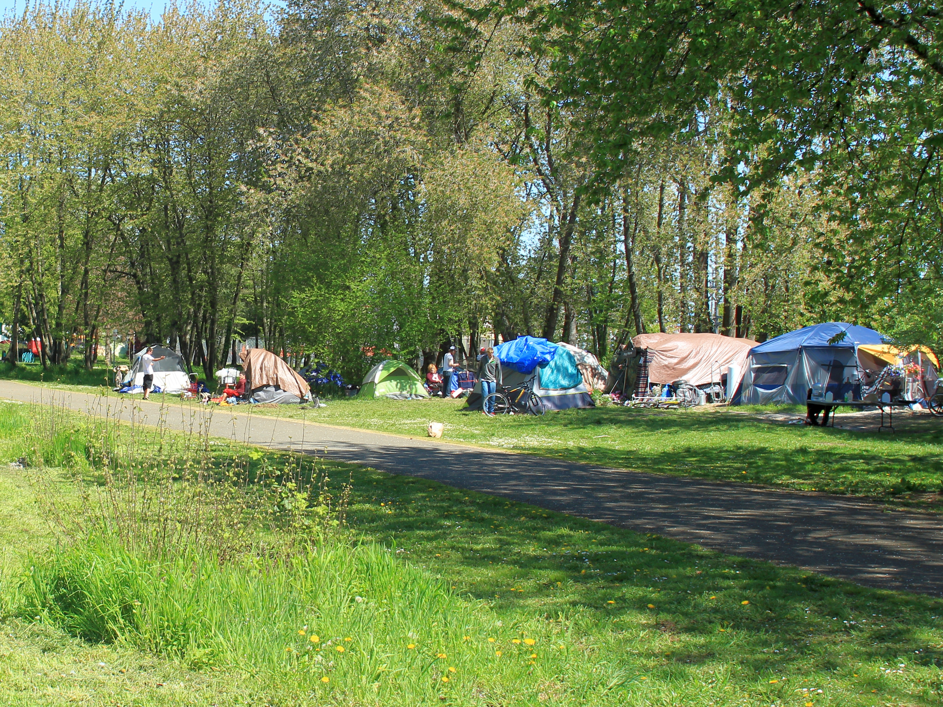 Rows of colorful tents and bicycles line a paved trail amid trees.