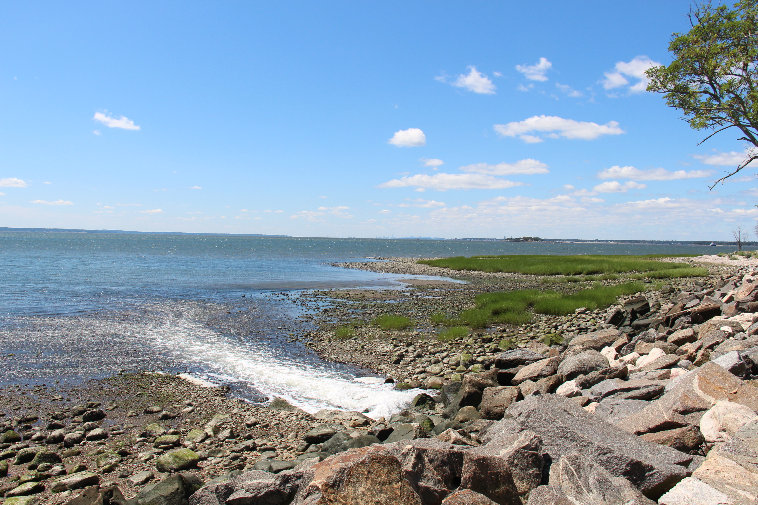 Rocky shoreline with calm water, green marsh grass, and blue sky at a park.