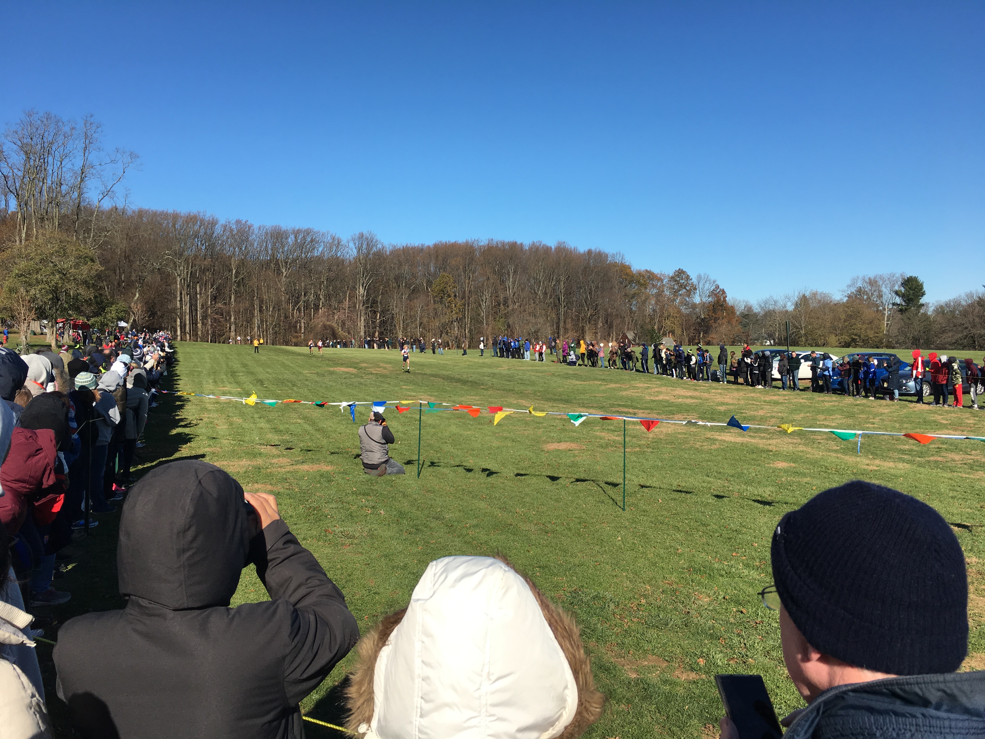 Runners on a grass cross country course with spectators and colorful flags lining both sides.