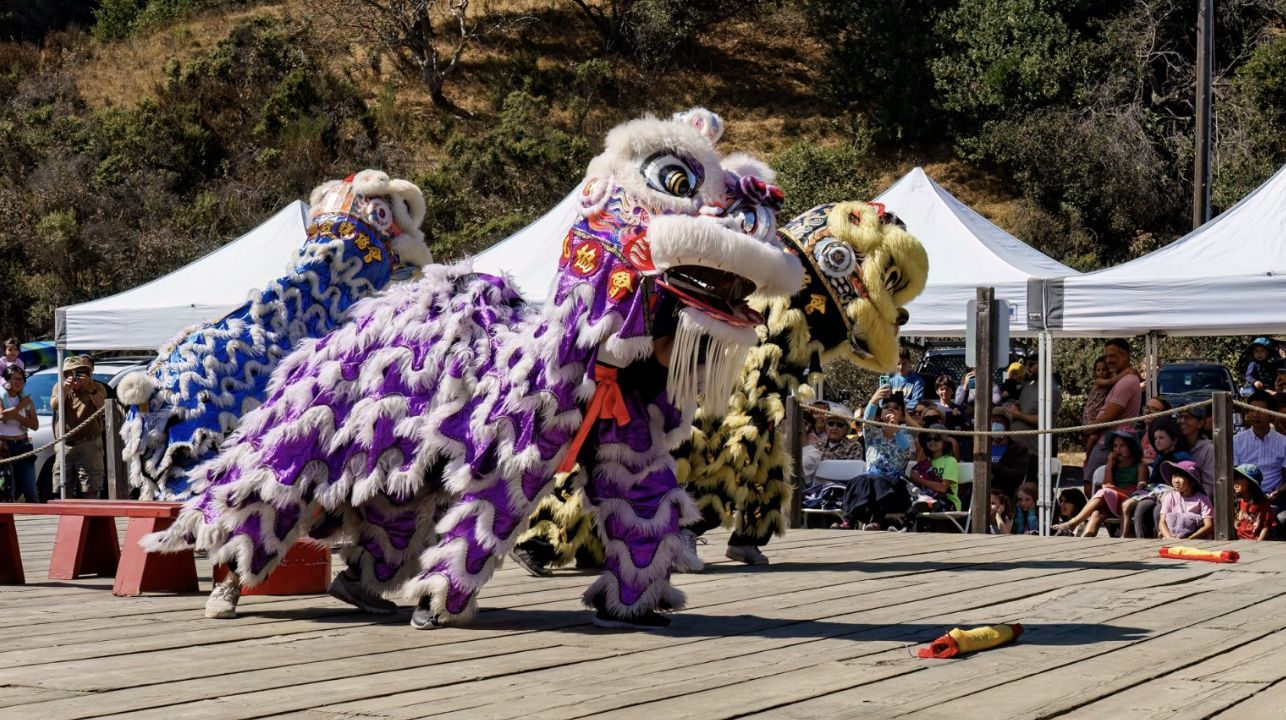 Chinese lion dancers in purple, yellow, and blue costumes perform on a wooden deck at China Camp Village as spectators watch from tented seating areas.