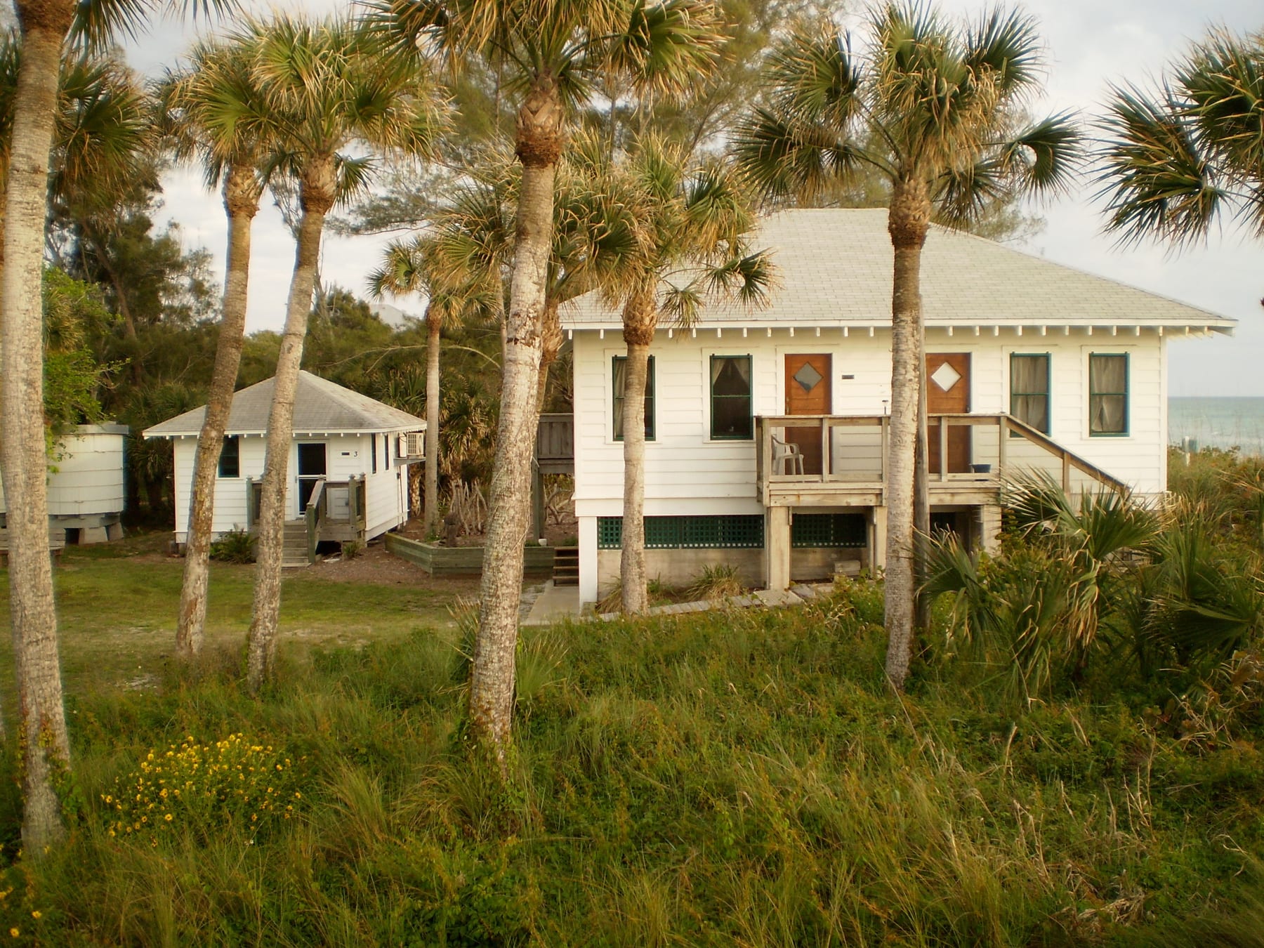 Whitney House and the pump house at the Hermitage Artist Retreat, surrounded by palms, before the 2024 hurricanes.