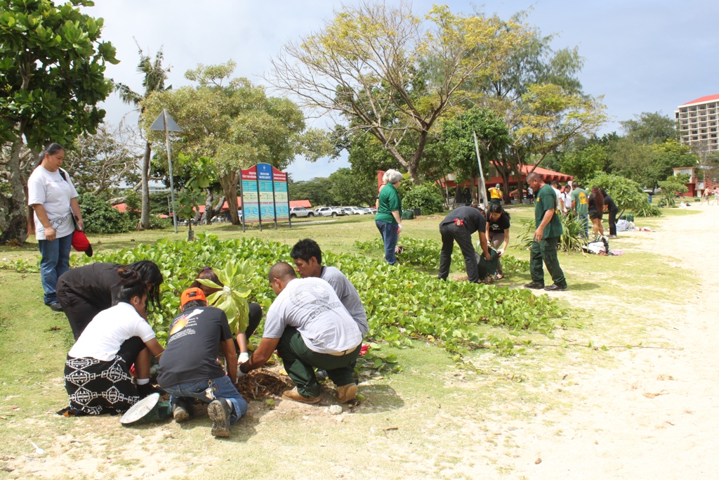 Adults and young people kneeling to plant small trees in a grassy outdoor area.