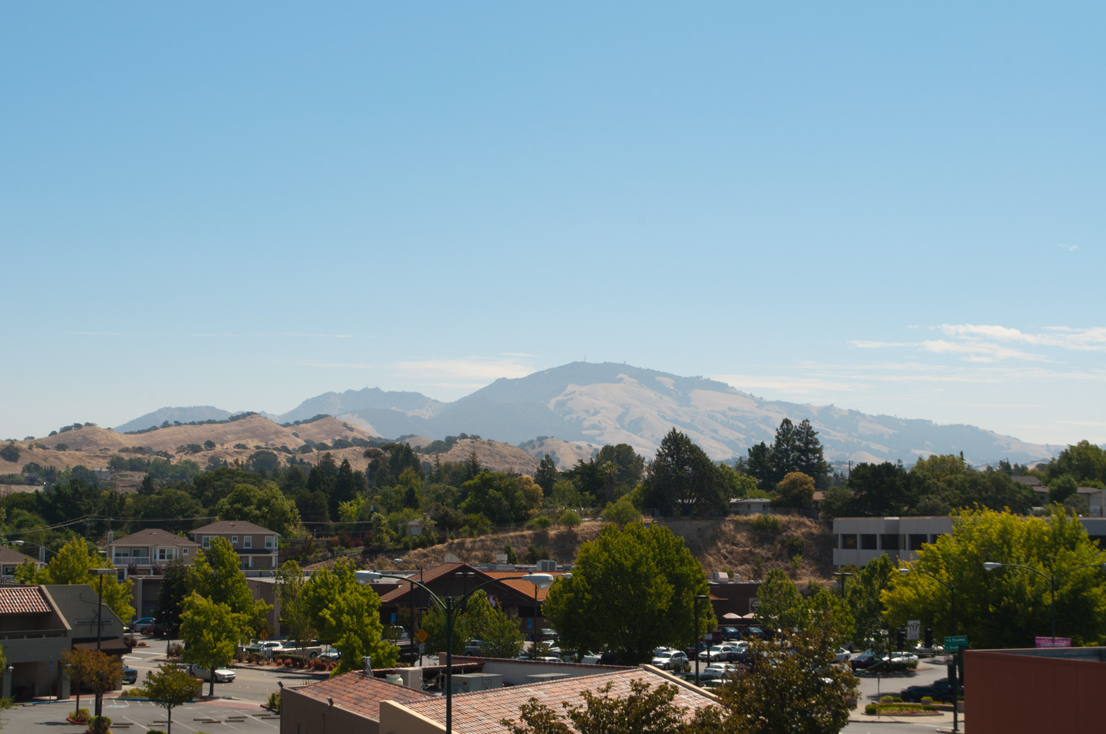 Downtown Walnut Creek buildings and trees with Mt. Diablo visible in the distance under a blue sky.