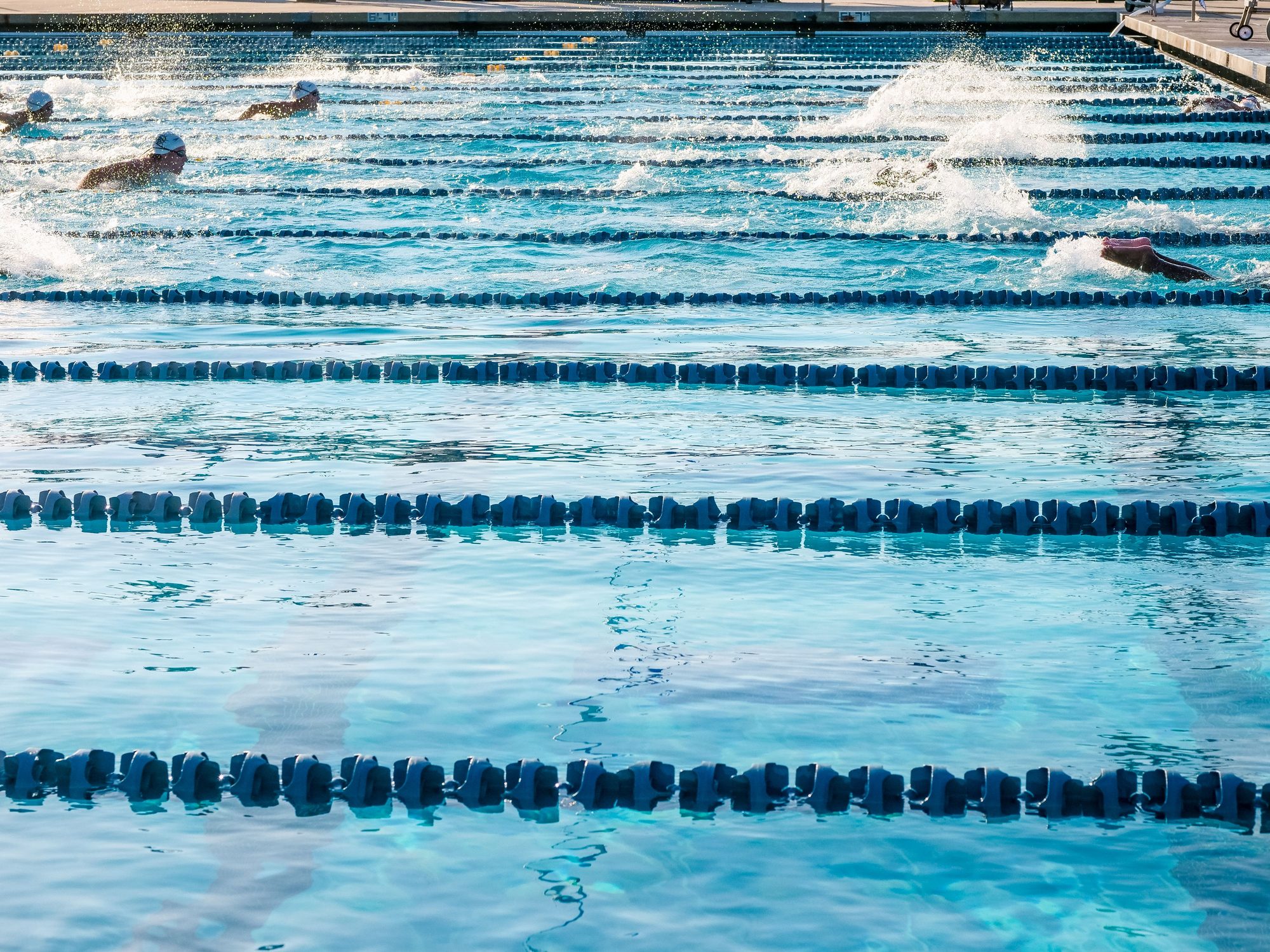 Athletes swimming in Olympic-size pool during a race.
