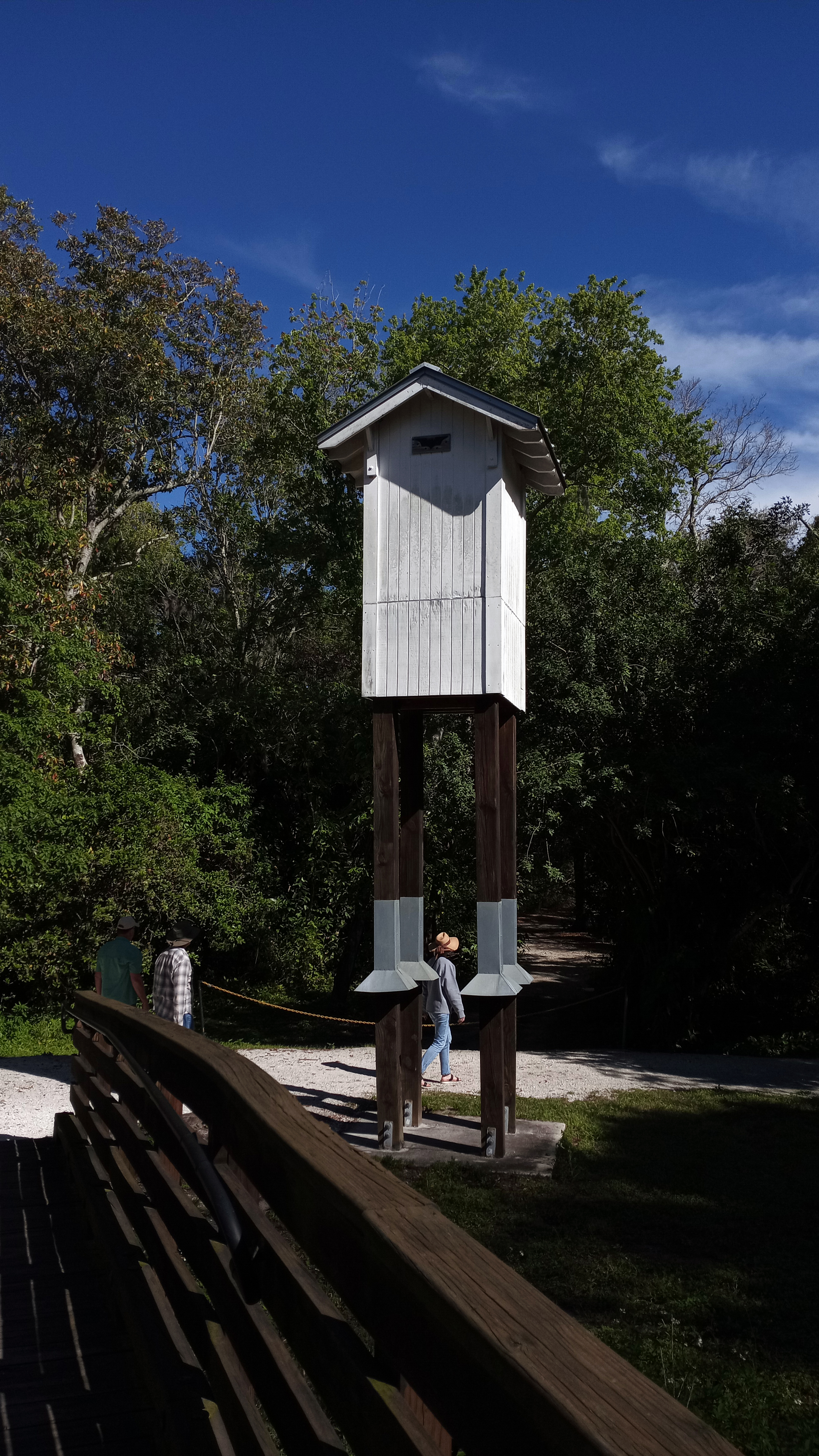 Tall wooden bat house on posts beside a boardwalk, surrounded by trees.