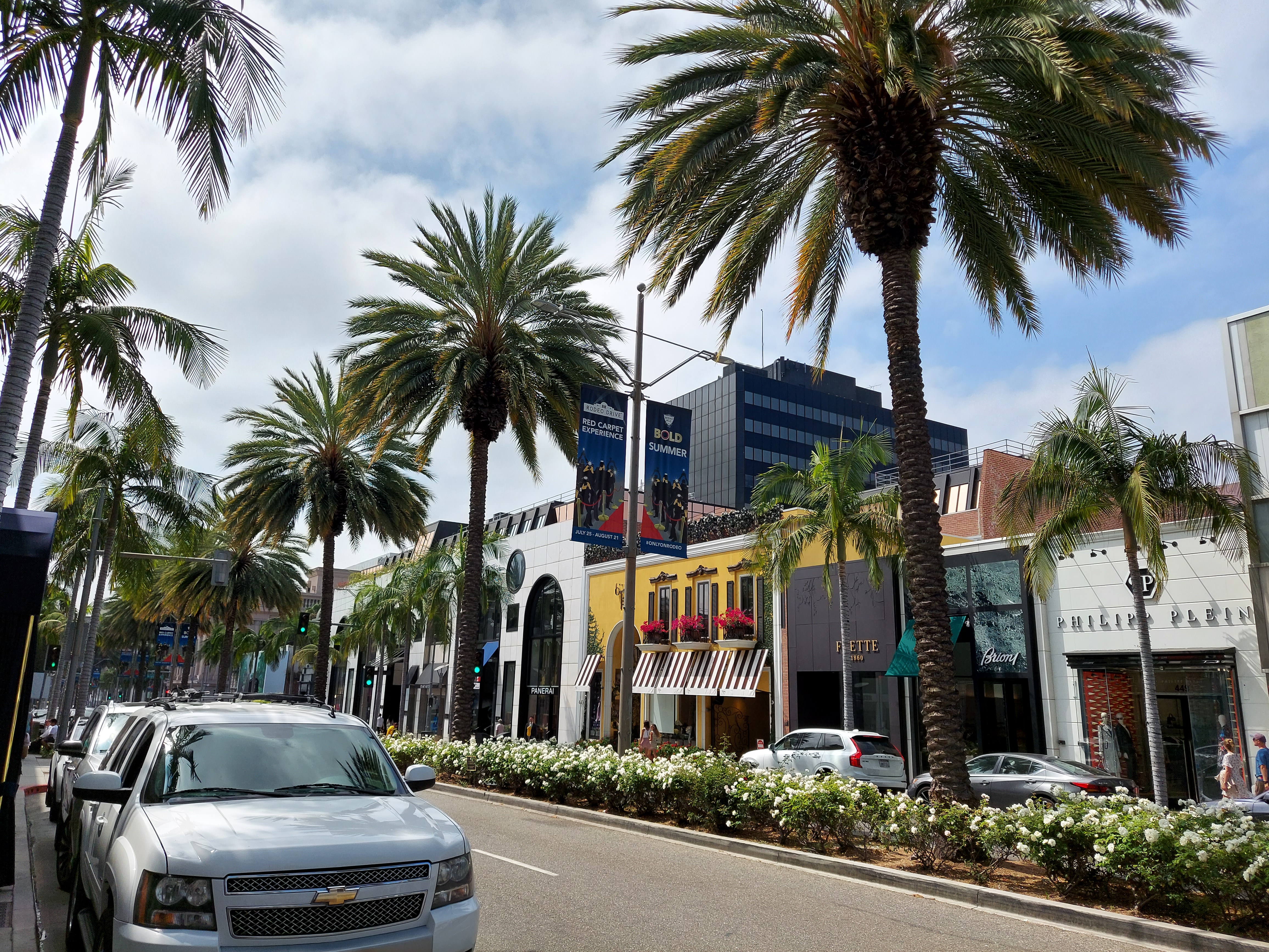 Palm-tree-lined street with luxury storefronts and parked vehicles on a sunny day.