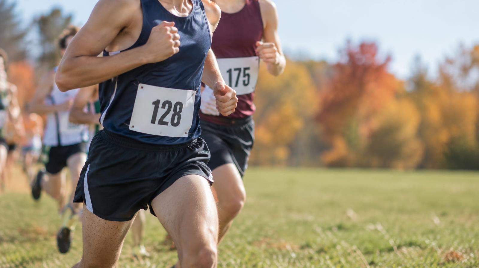 Runners in numbered race bibs sprint across a grass field with fall foliage in the background.