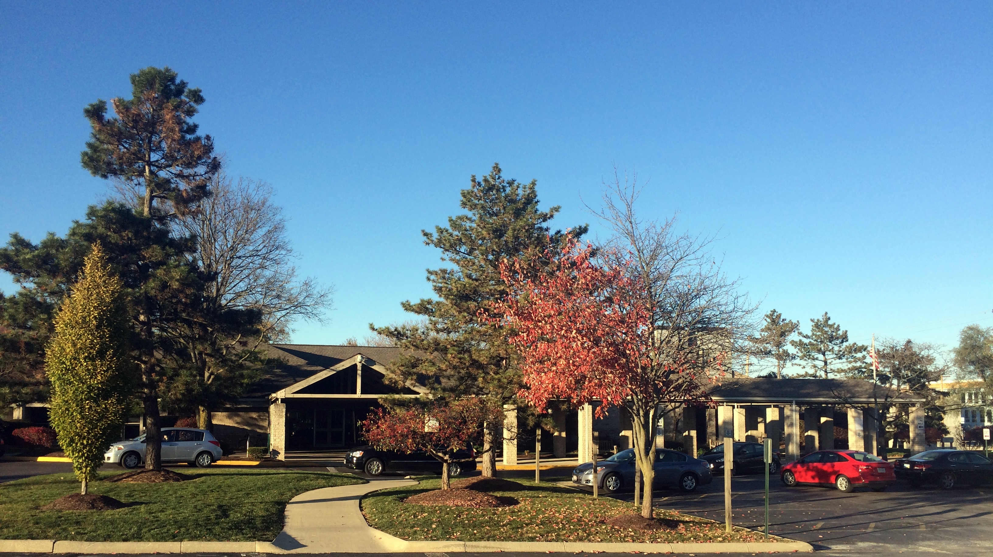 Single-story library building with a covered entrance surrounded by a parking lot and autumn-colored trees.
