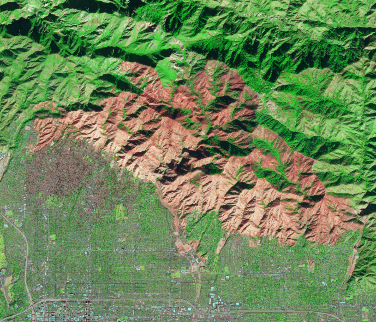 False-color satellite image showing a large burn scar over a residential grid and hillsides.