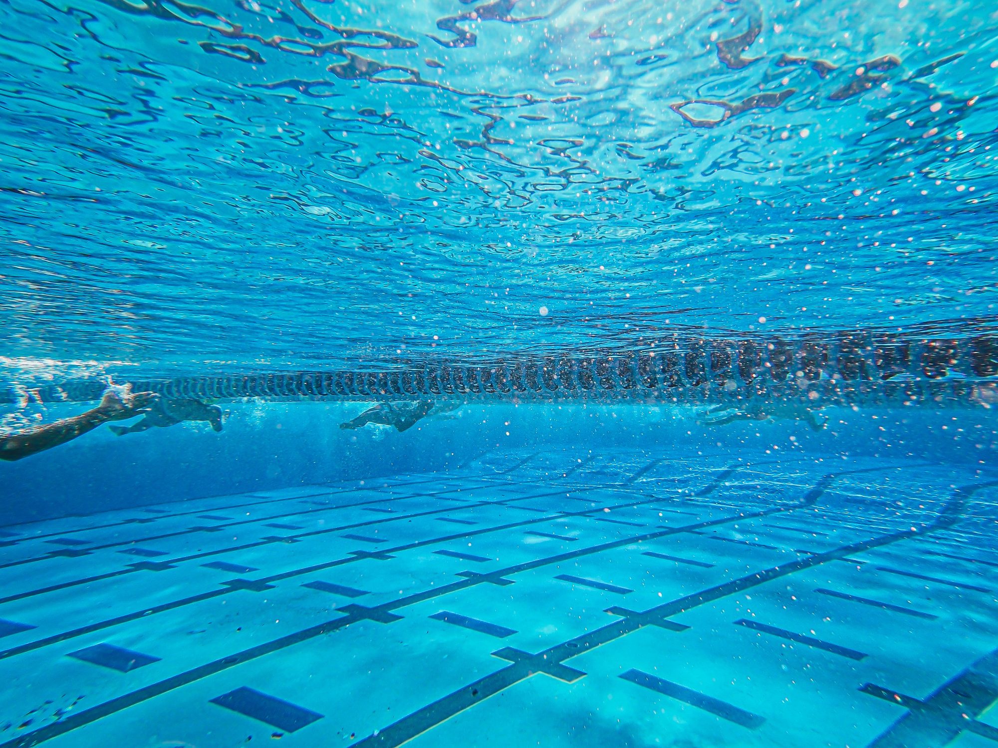 Underwater view of swimmers racing in a crystal clear swimming pool.
