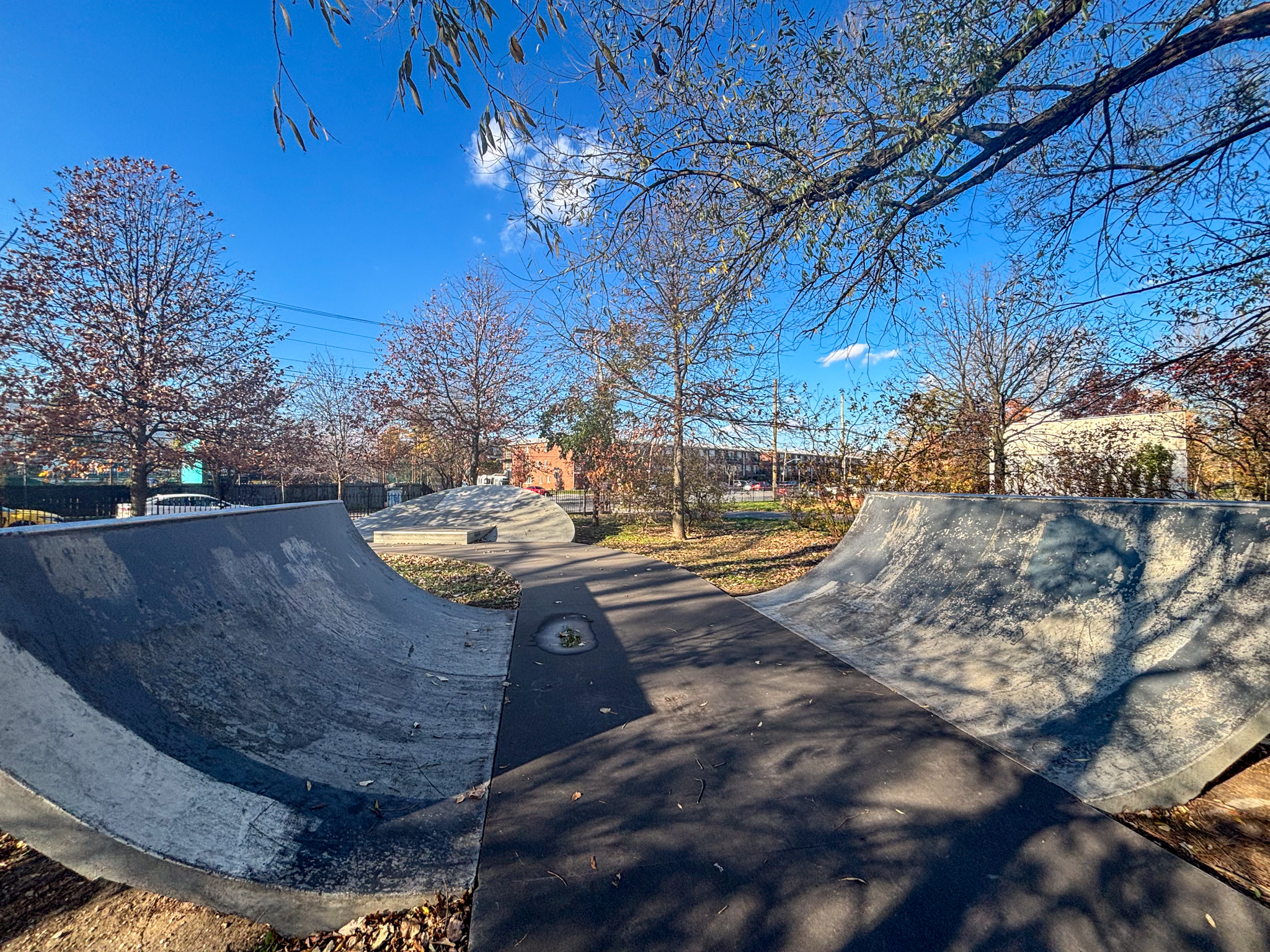 Empty concrete skate park with curved ramps and bowls surrounded by bare trees.