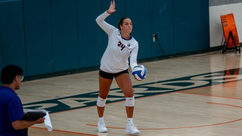Volleyball player in white and blue jersey number 24 preparing to serve indoors.