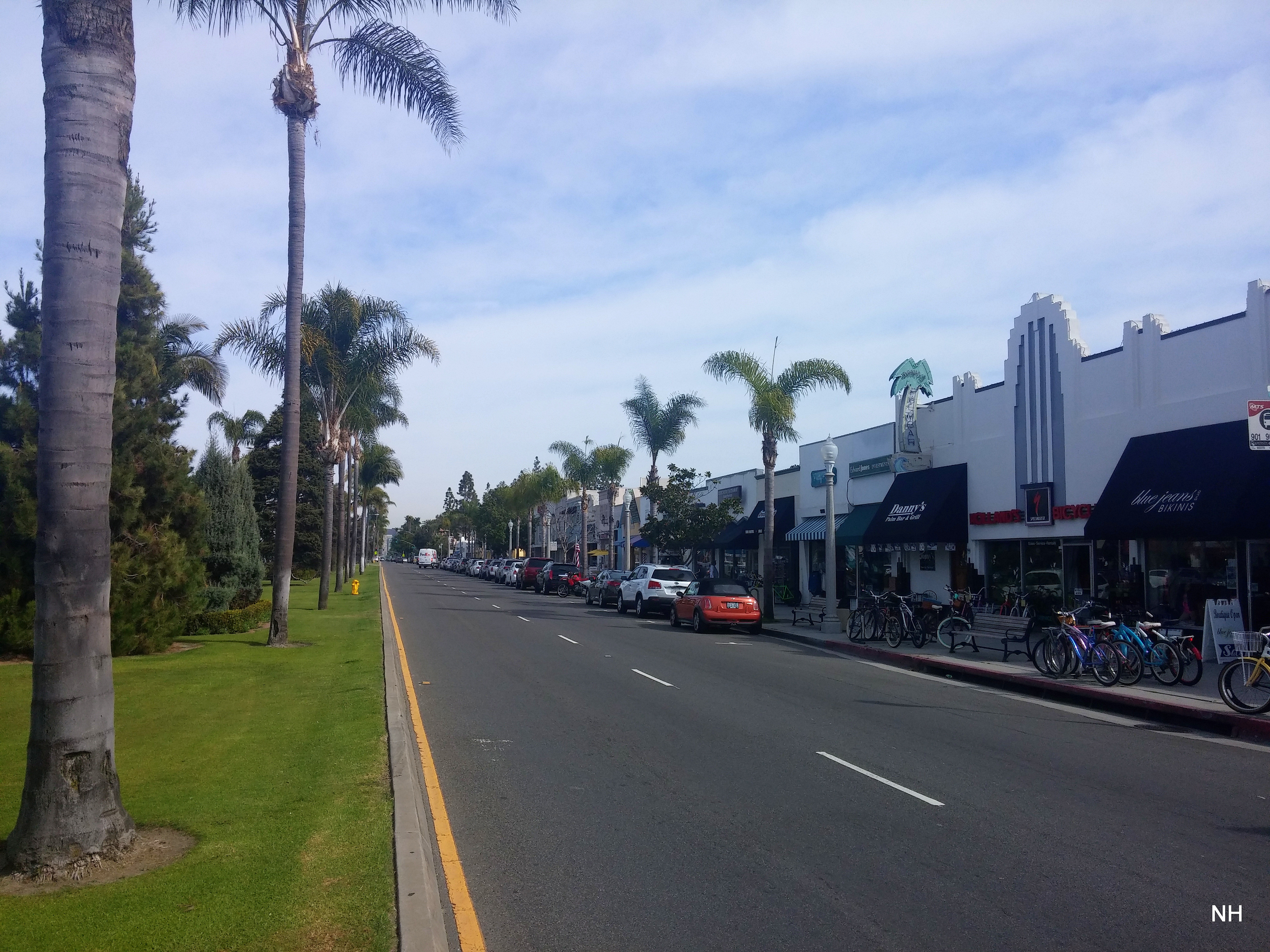 Palm-lined boulevard with storefronts and parked bicycles on a sunny day.