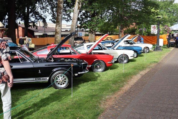 Row of classic cars parked on grass under trees at an outdoor car show.
