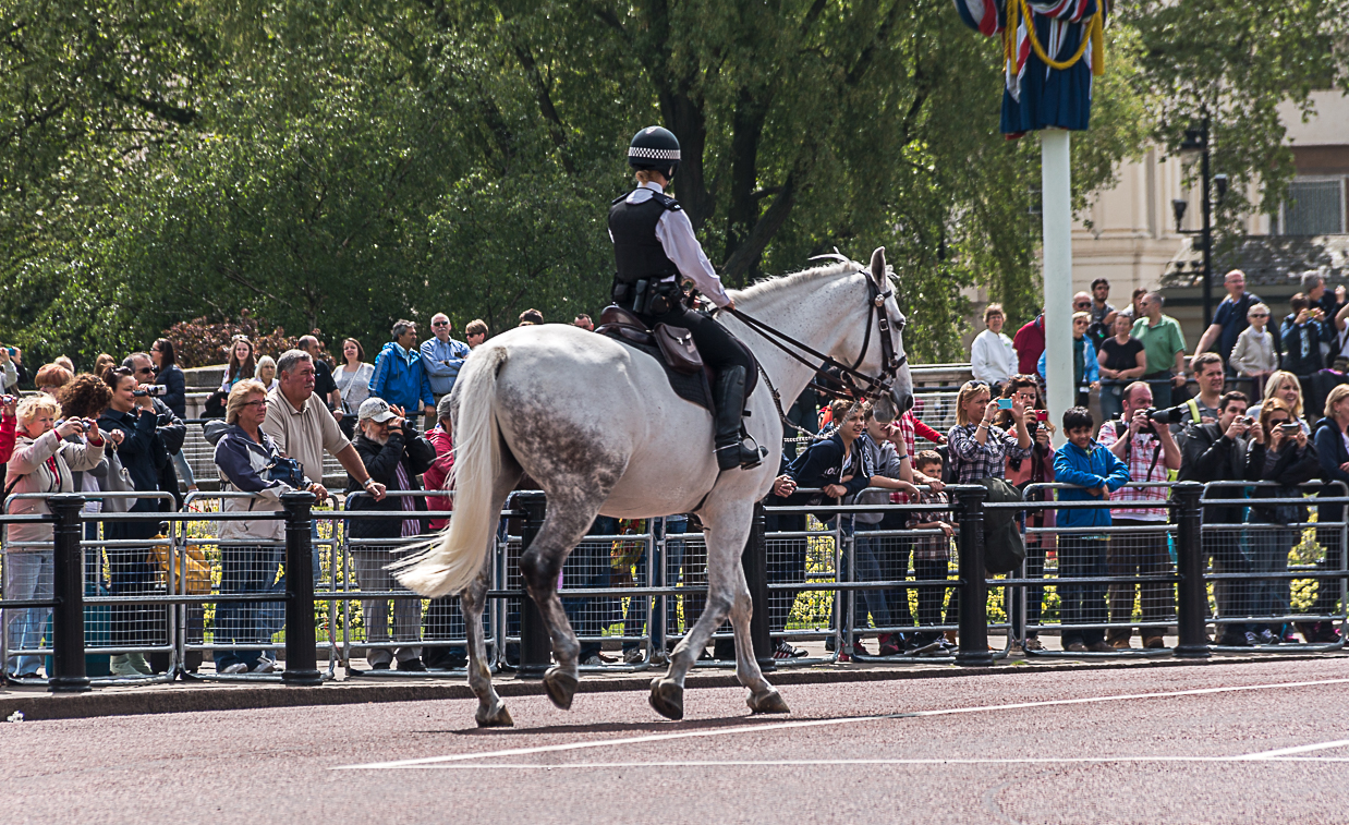 A uniformed officer on a white horse rides past a crowd behind metal barriers.