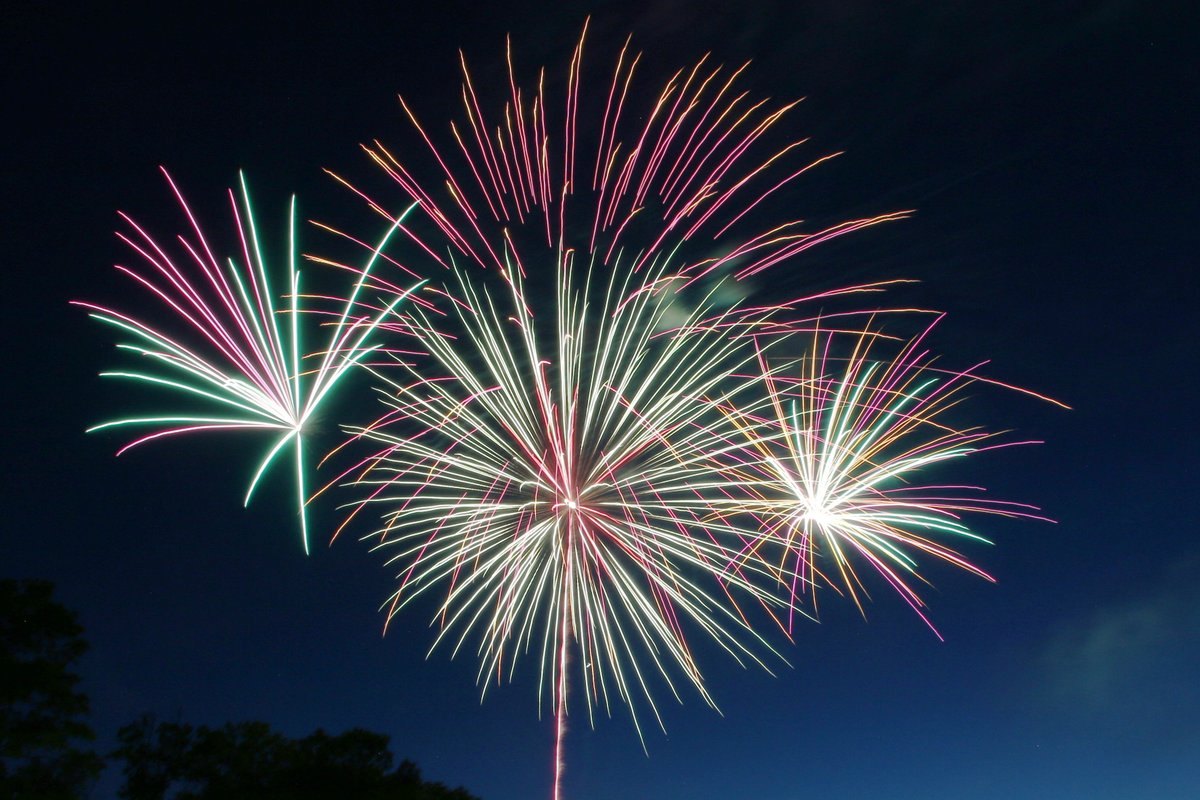 Multiple colorful fireworks bursts in pink, green, and white against a dark night sky above silhouetted trees.