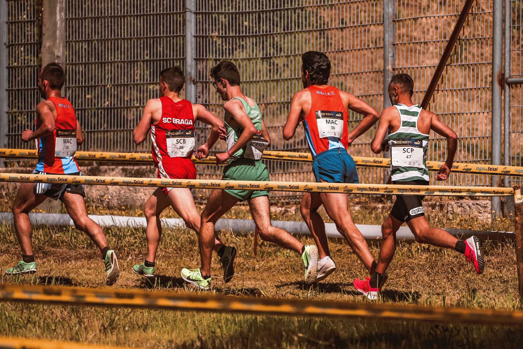 A team of male athletes competing in an outdoor cross-country race on a sunny day.