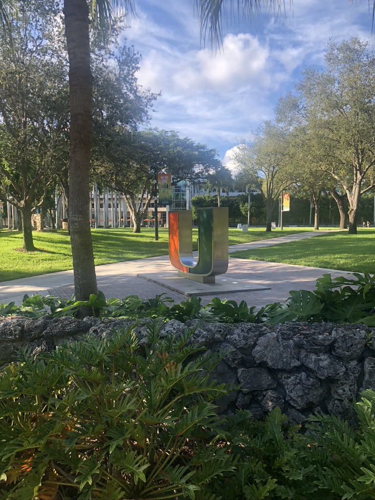University of Miami campus green with a large metallic 'U' sculpture surrounded by palm trees.