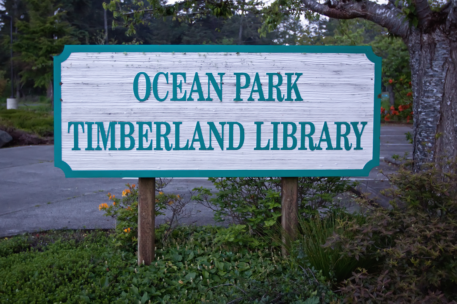 Wooden sign reading 'Ocean Park Timberland Library' mounted on posts amid shrubs.