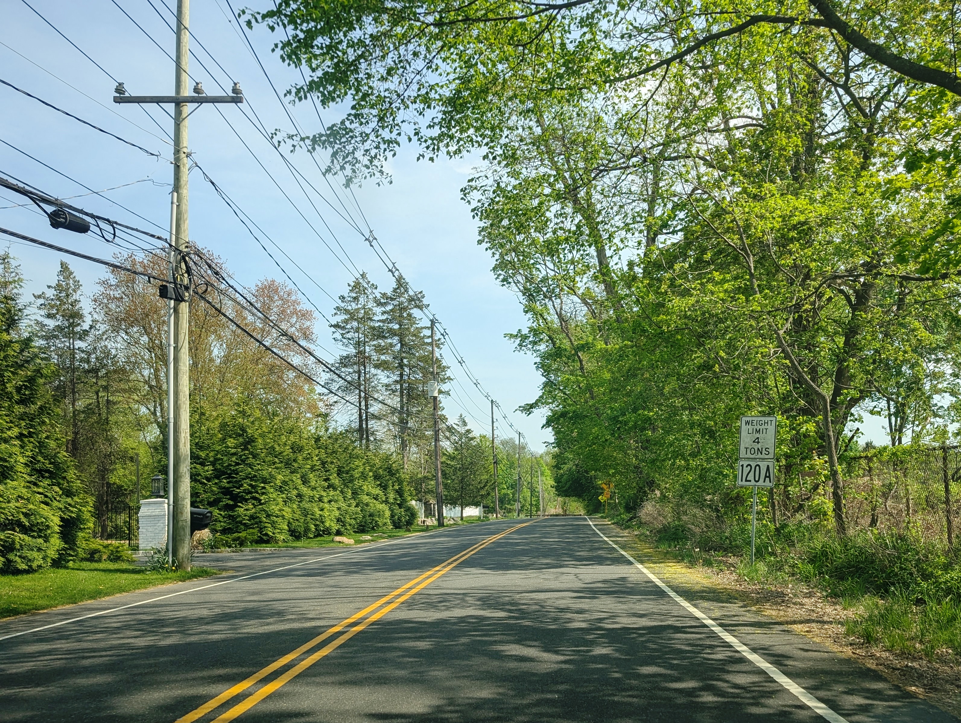 Two-lane road lined with trees and utility poles in Greenwich, Connecticut.