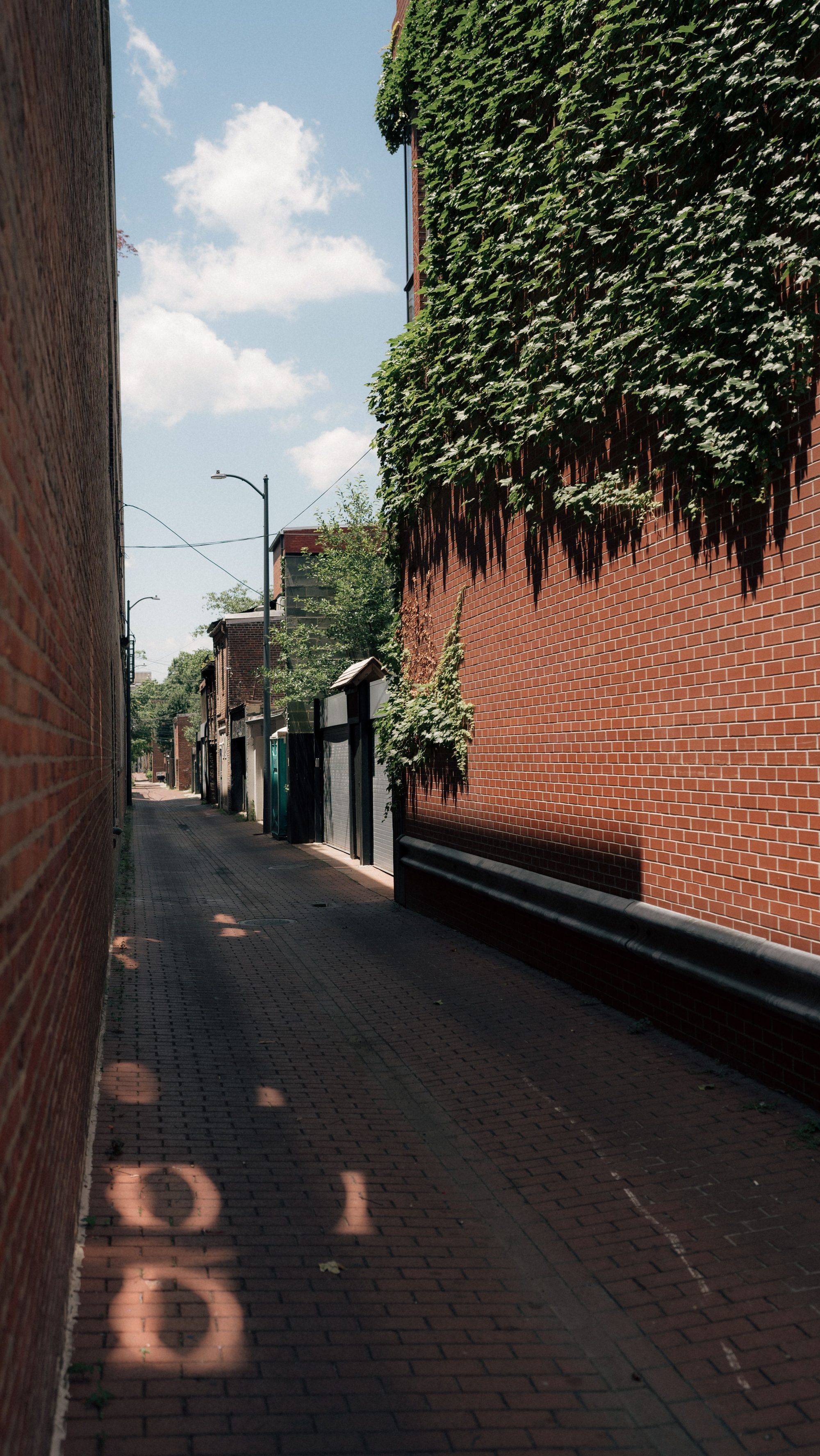 Sunlit alleyway with brick walls and ivy in Washington DC. 