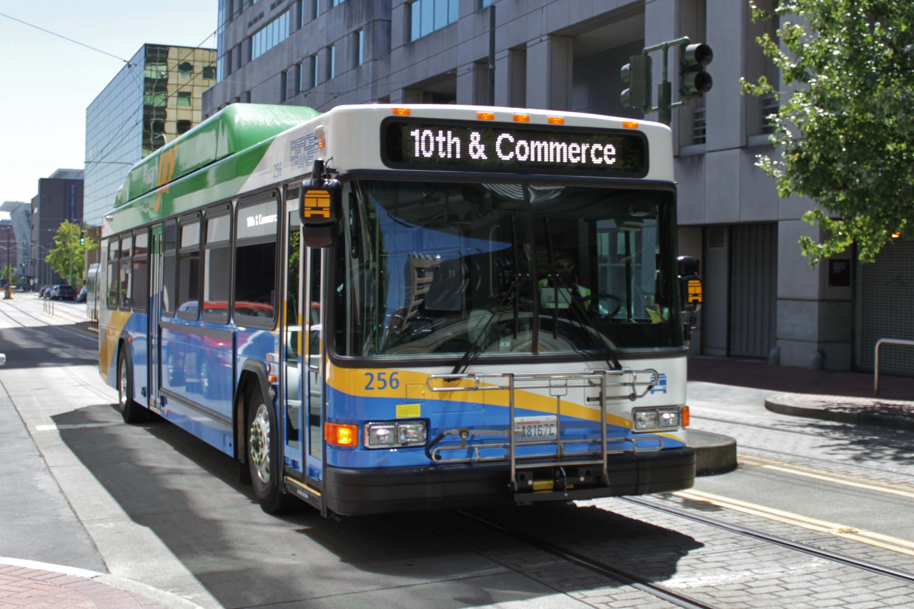 A blue, yellow, and green Pierce Transit bus on a downtown city street.