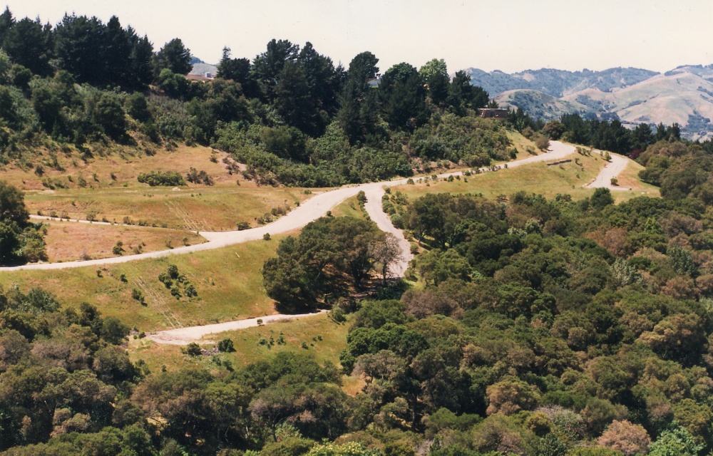 A winding two-lane road curves through rolling green hills near Moraga.