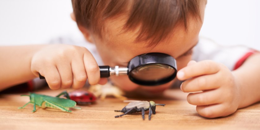 Young child holding a magnifying glass to examine toy insects on a surface.