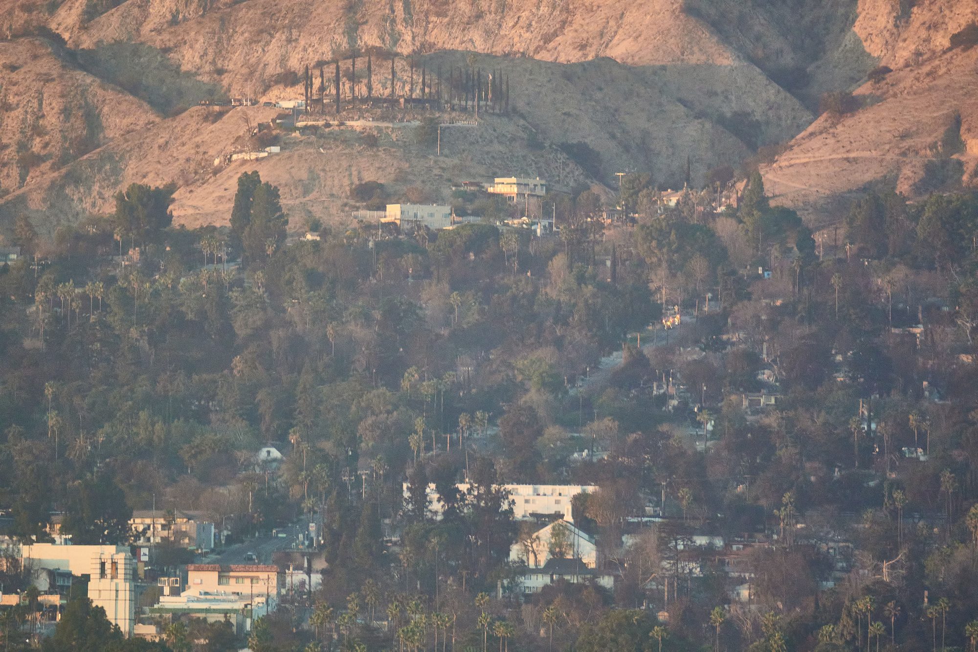 Aftermath of the Eaton Fire in northern Altadena along Lake Ave, as viewed from the Caltech Hall tower library. When this photo was taken, national guard checkpoints were still in place blocking access to this area.