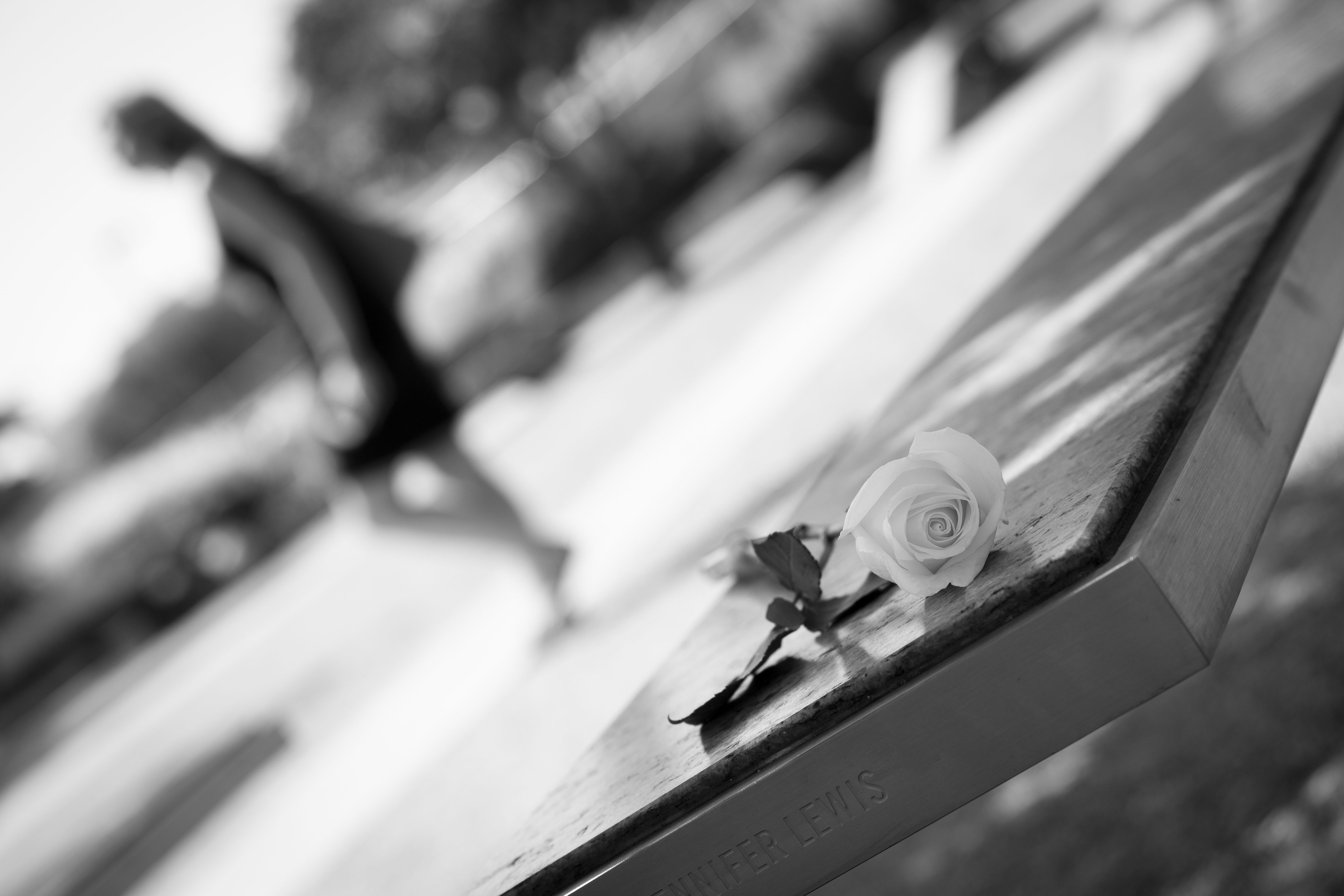 A white rose rests on an engraved memorial bench at an outdoor memorial.