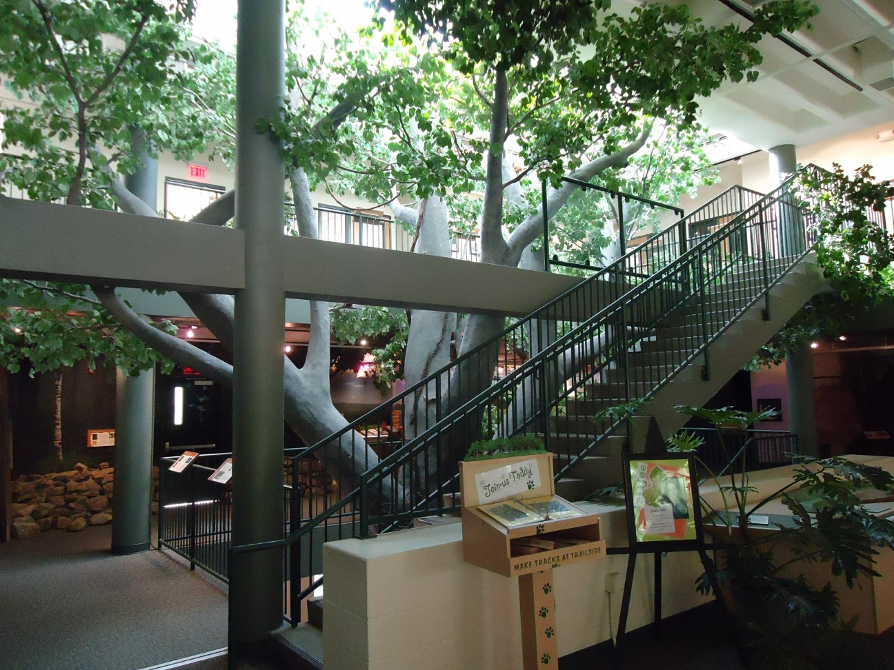Interior of a nature center lobby with a large artificial tree, metal staircases, and exhibit displays.