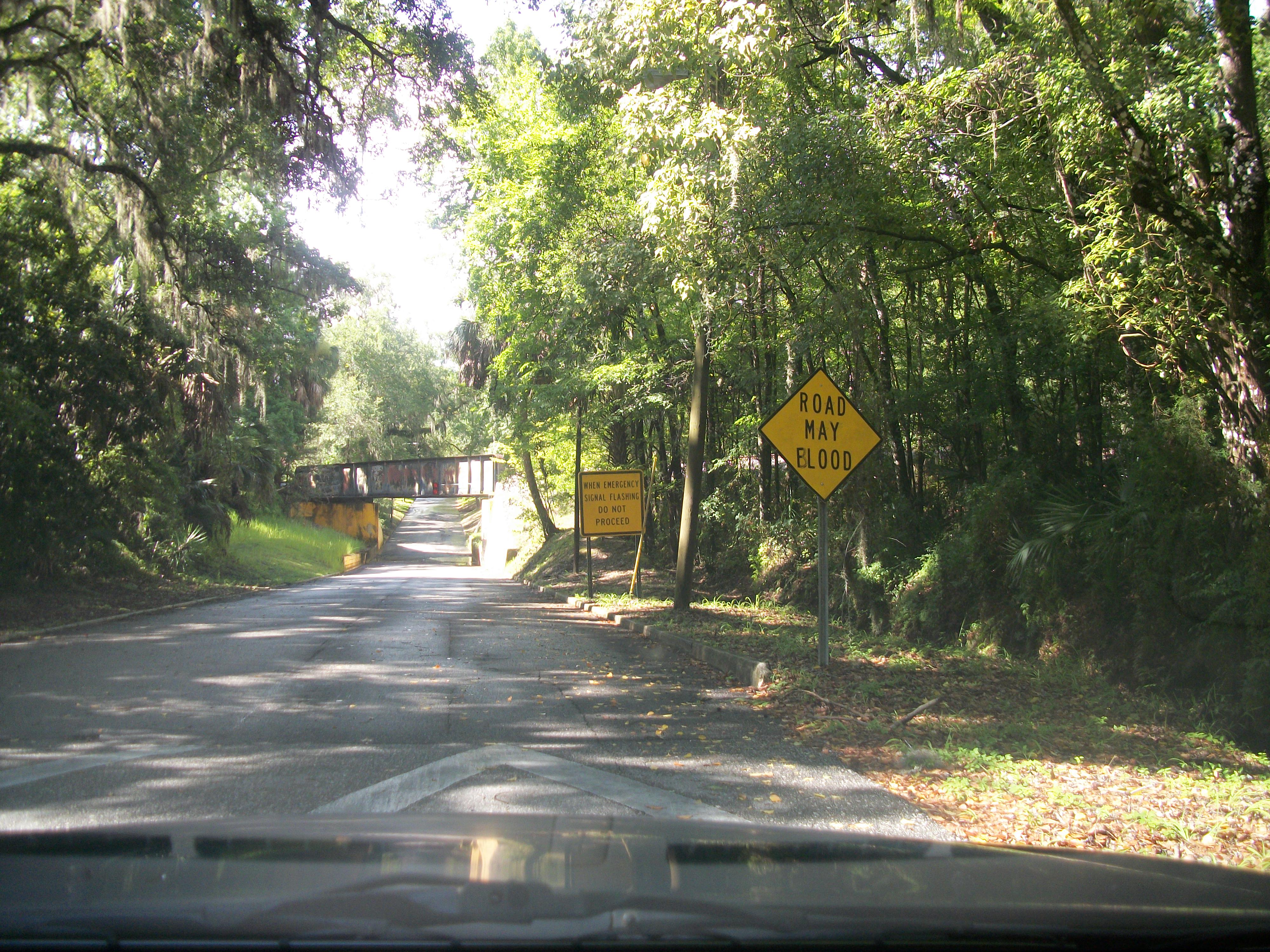 Yellow diamond flood warning sign on a narrow, tree-lined road approaching a bridge.