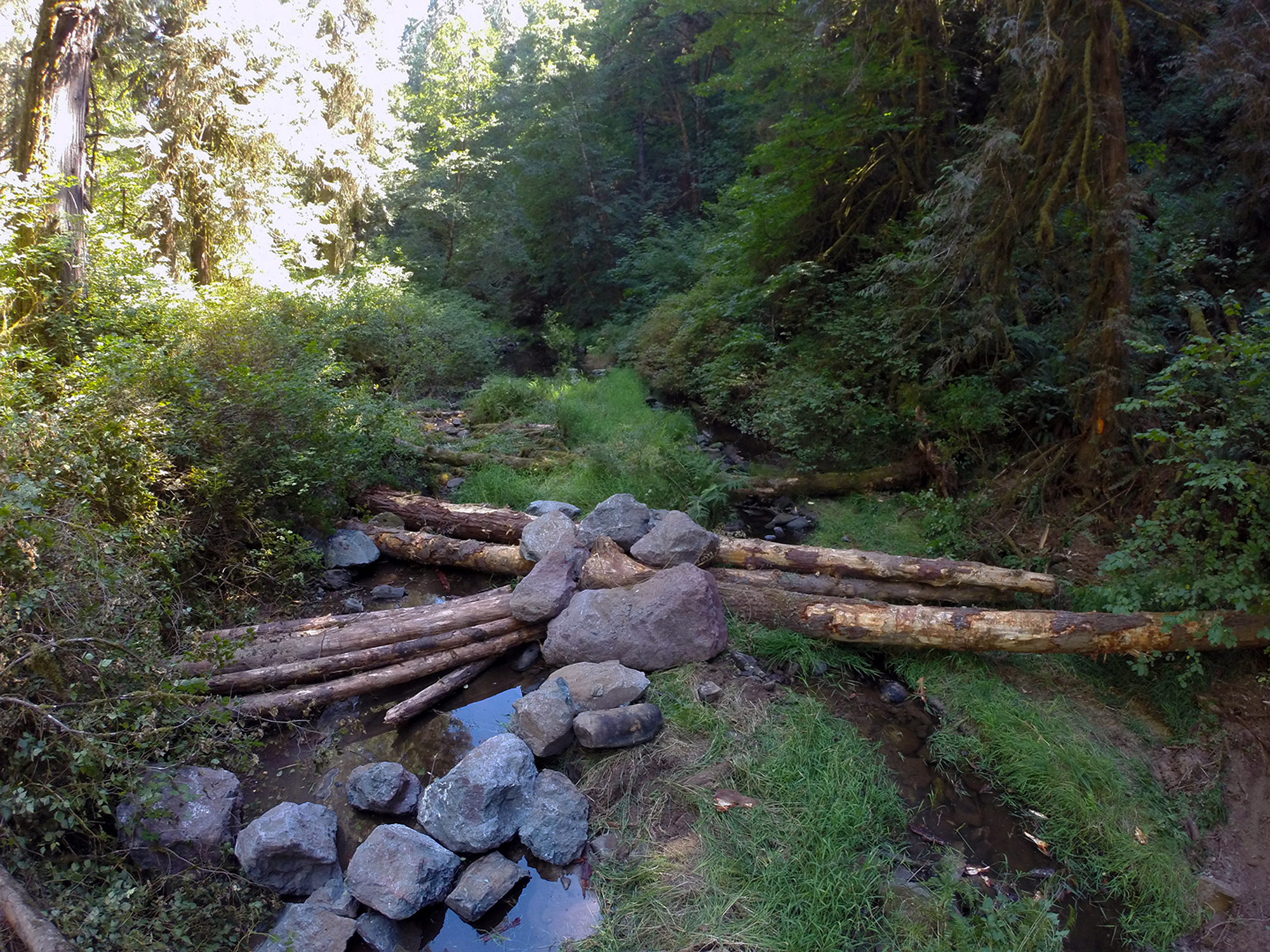 Logs and large boulders arranged across a shallow, forested stream channel.