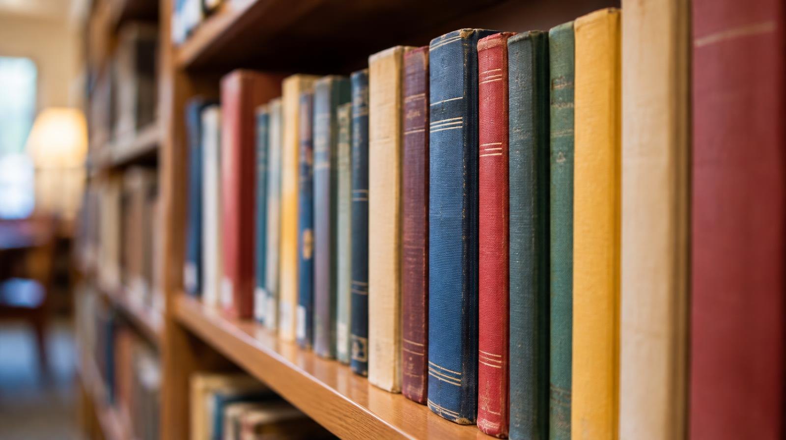 Colorful hardcover books standing upright on a wooden library shelf.