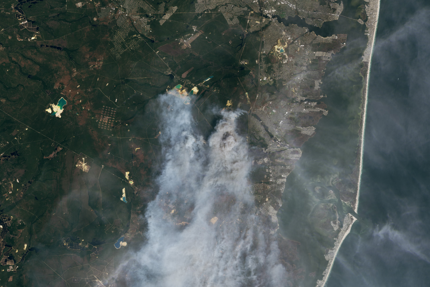 Satellite view of smoke plumes rising from a wildfire along a forested coastline.