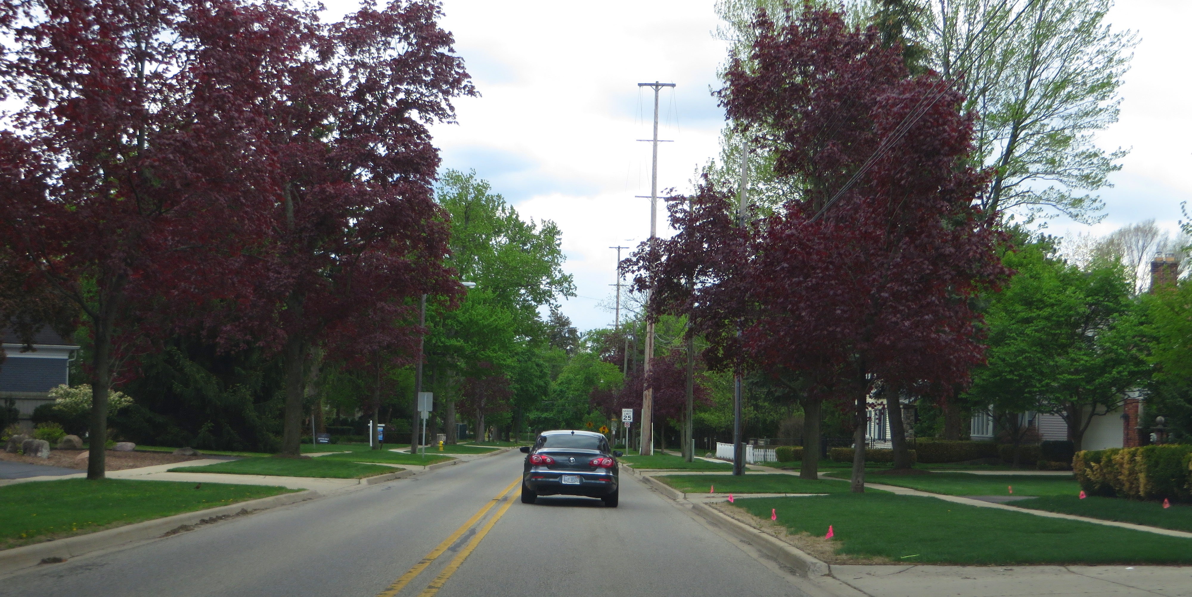 Tree-lined suburban residential street with homes set back from the road.