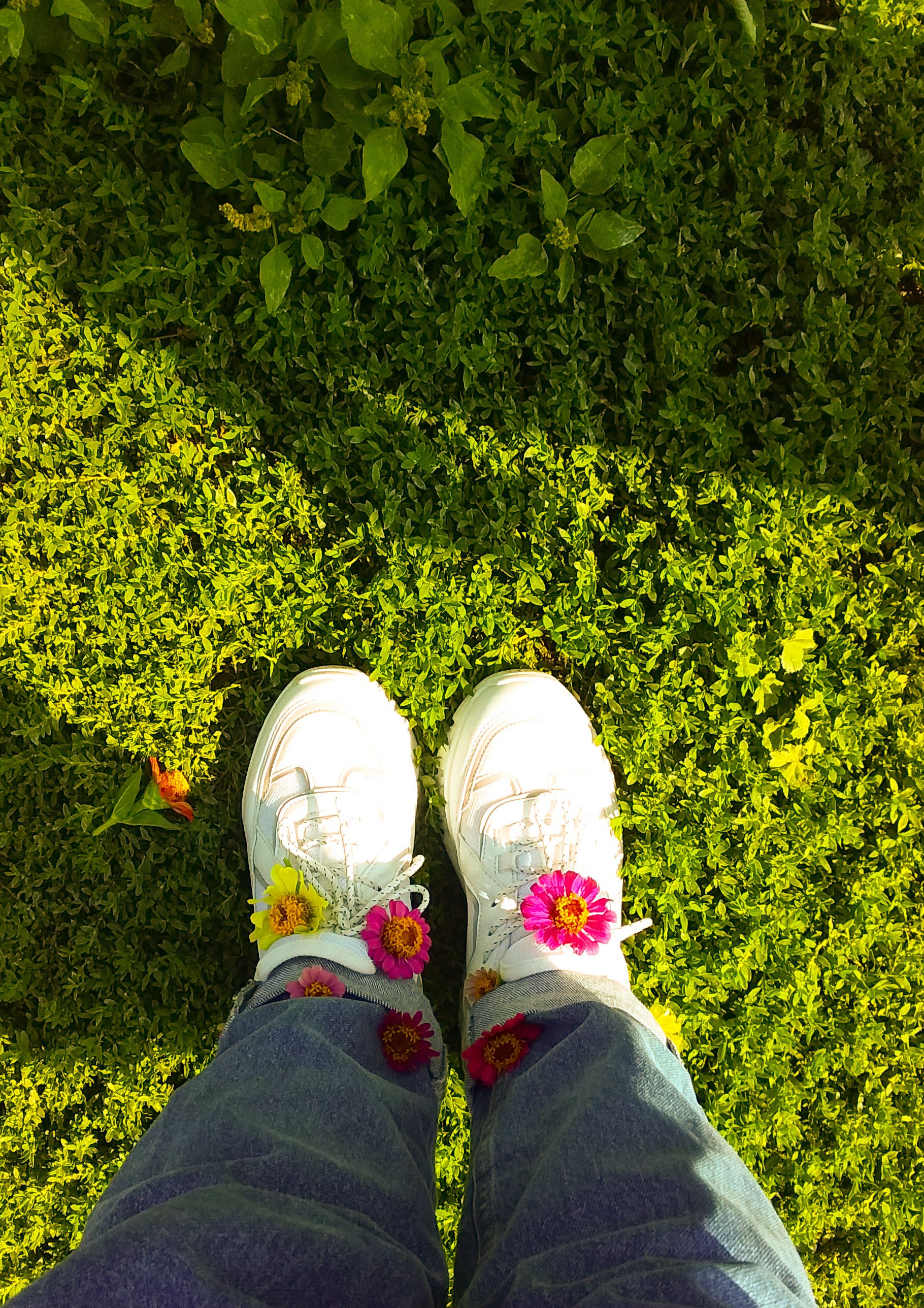 Stylish white sneakers on lush green grass decorated with colorful flowers.