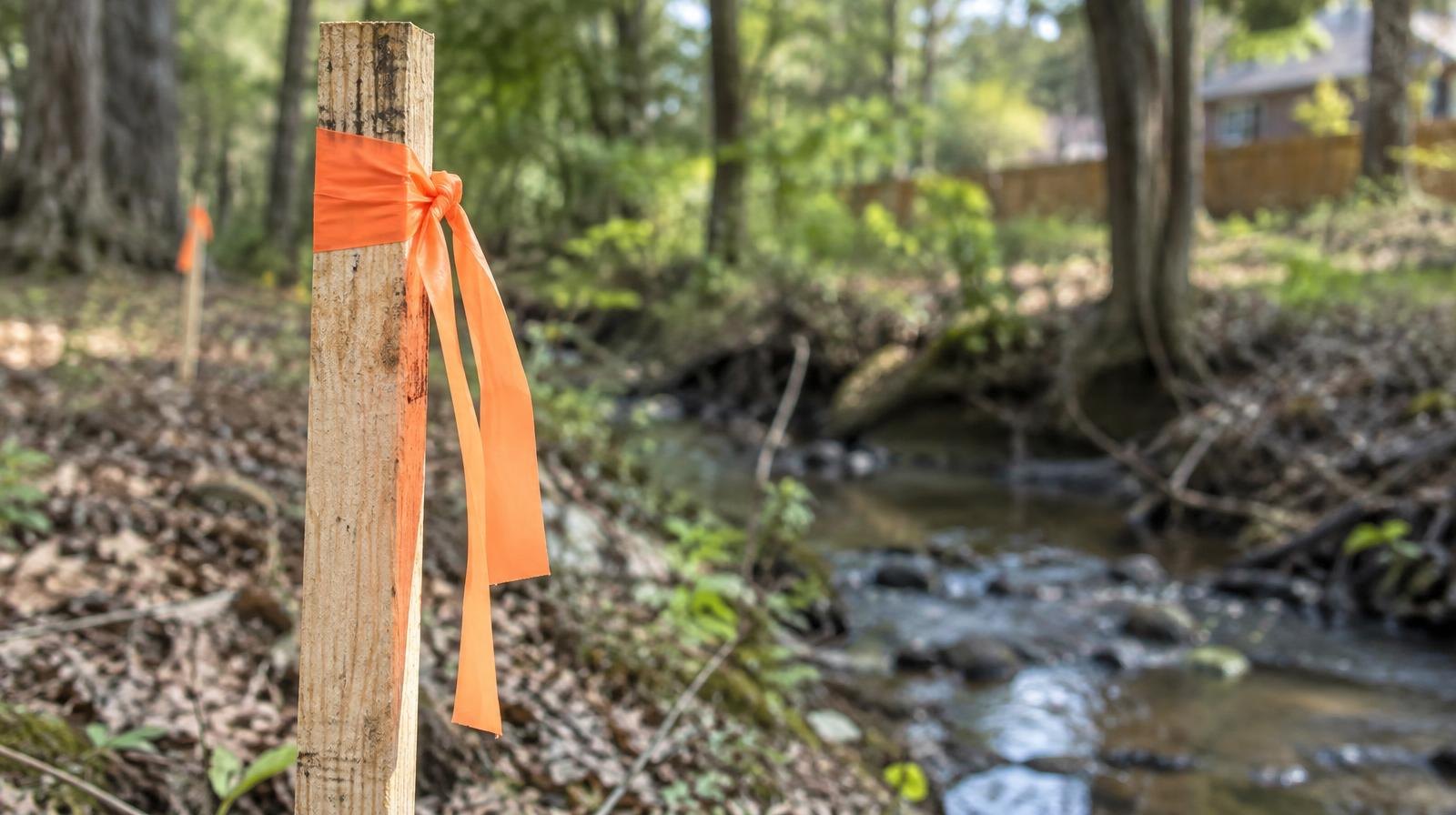 Wooden surveyor stake with orange flagging tape beside a small wooded creek.