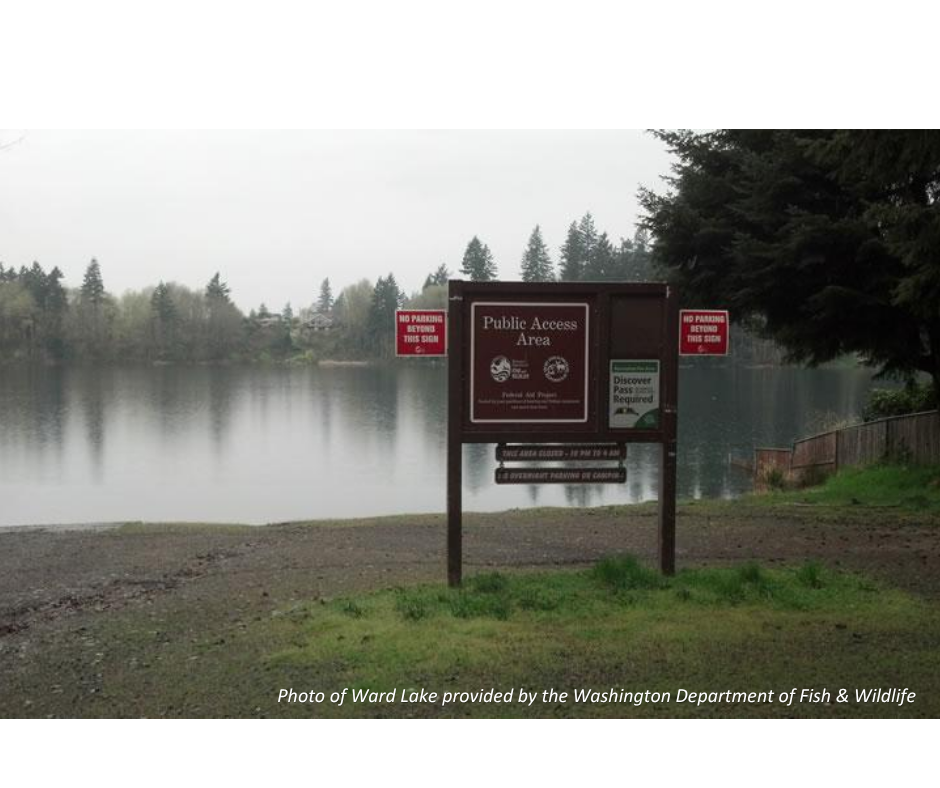 A lake shore with a public access area sign, calm water, and evergreen trees under overcast skies.