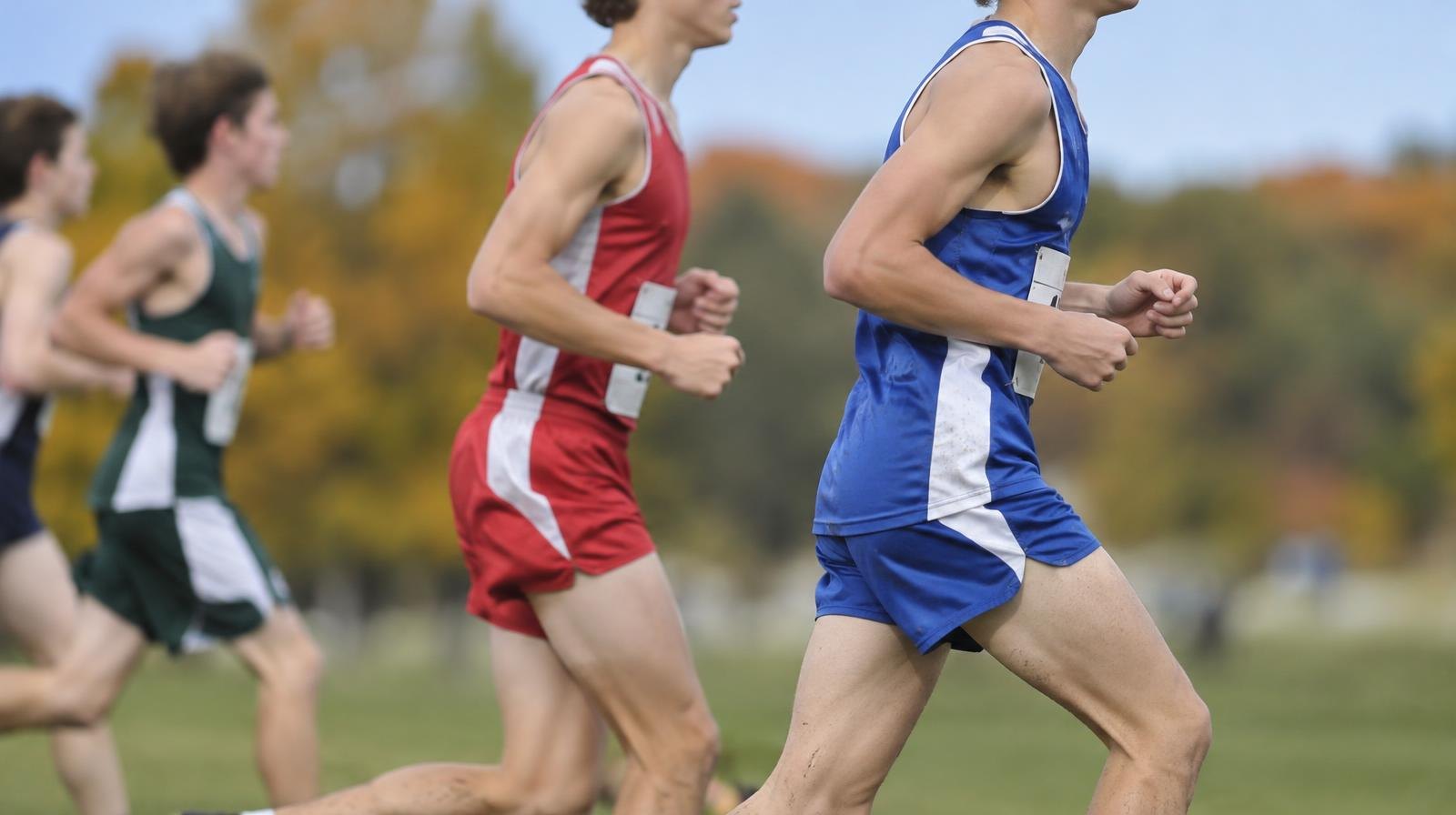 Runners in athletic gear race across a grassy cross country course on a clear morning.
