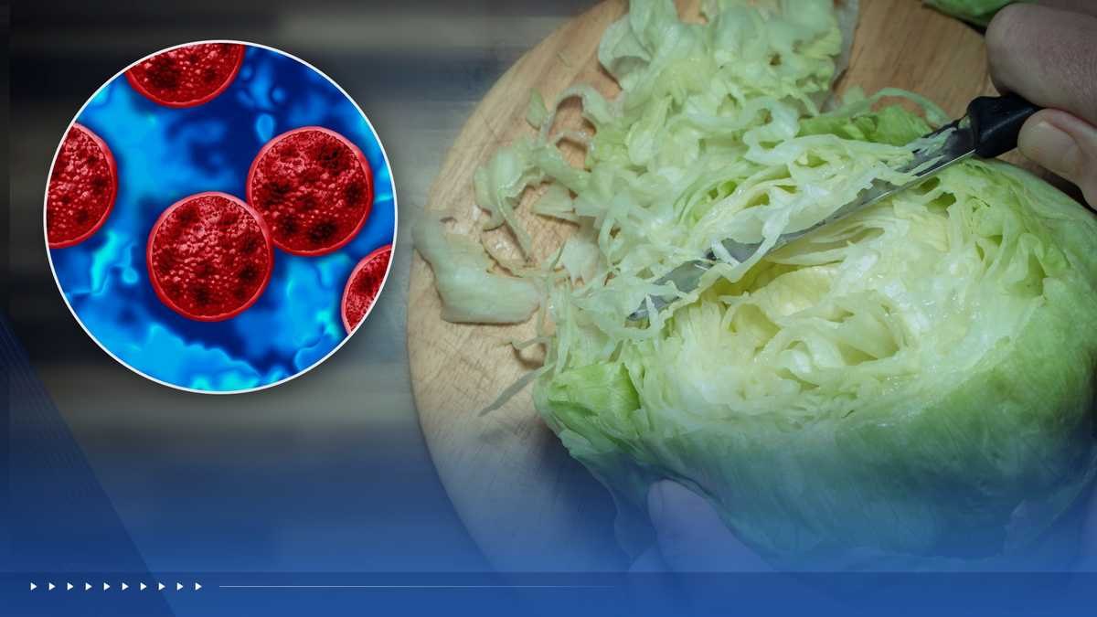 Iceberg lettuce being cut on a cutting board with a circular inset showing red cyclospora parasites under a microscope.