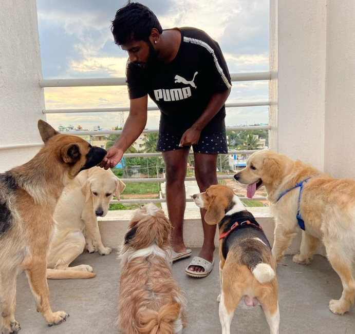 A man in a black shirt surrounded by five dogs on an outdoor terrace.