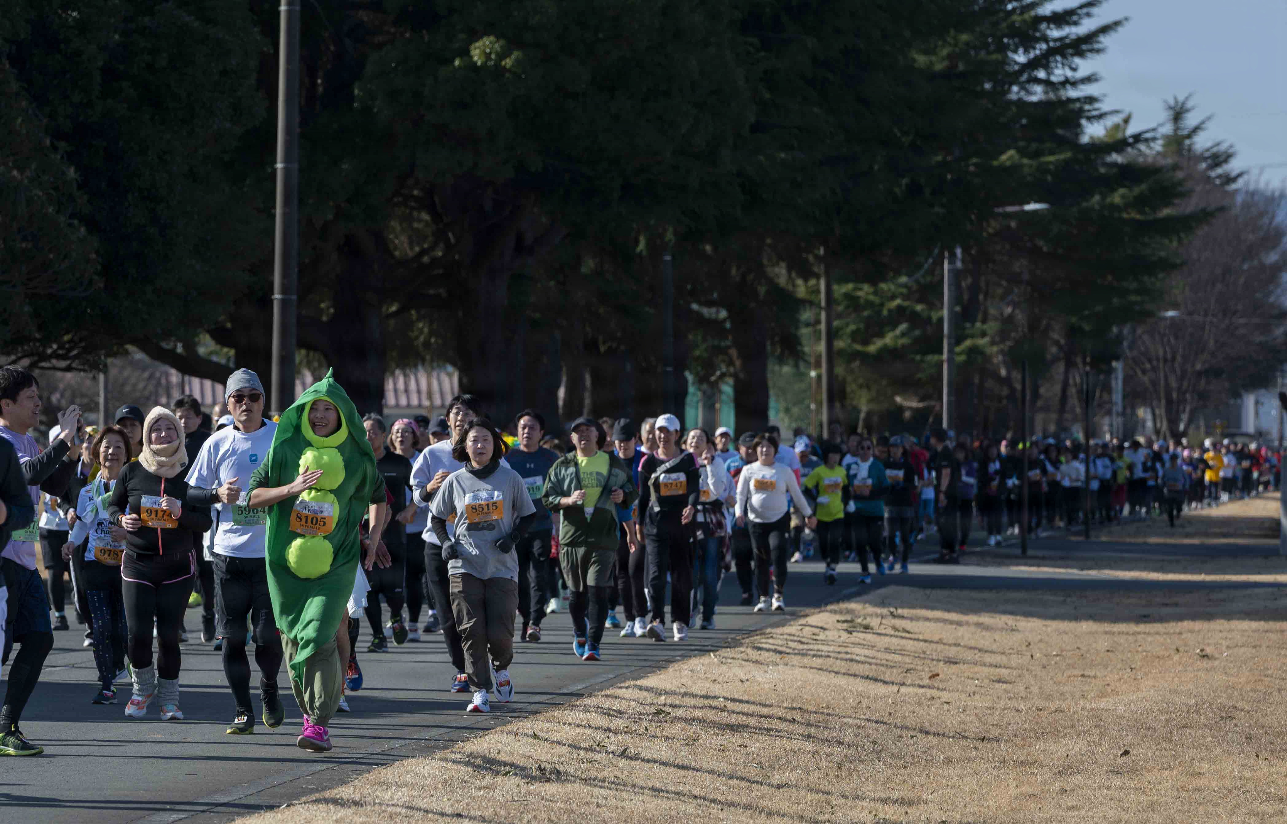 Large crowd of runners wearing race bibs along a tree-lined road.
