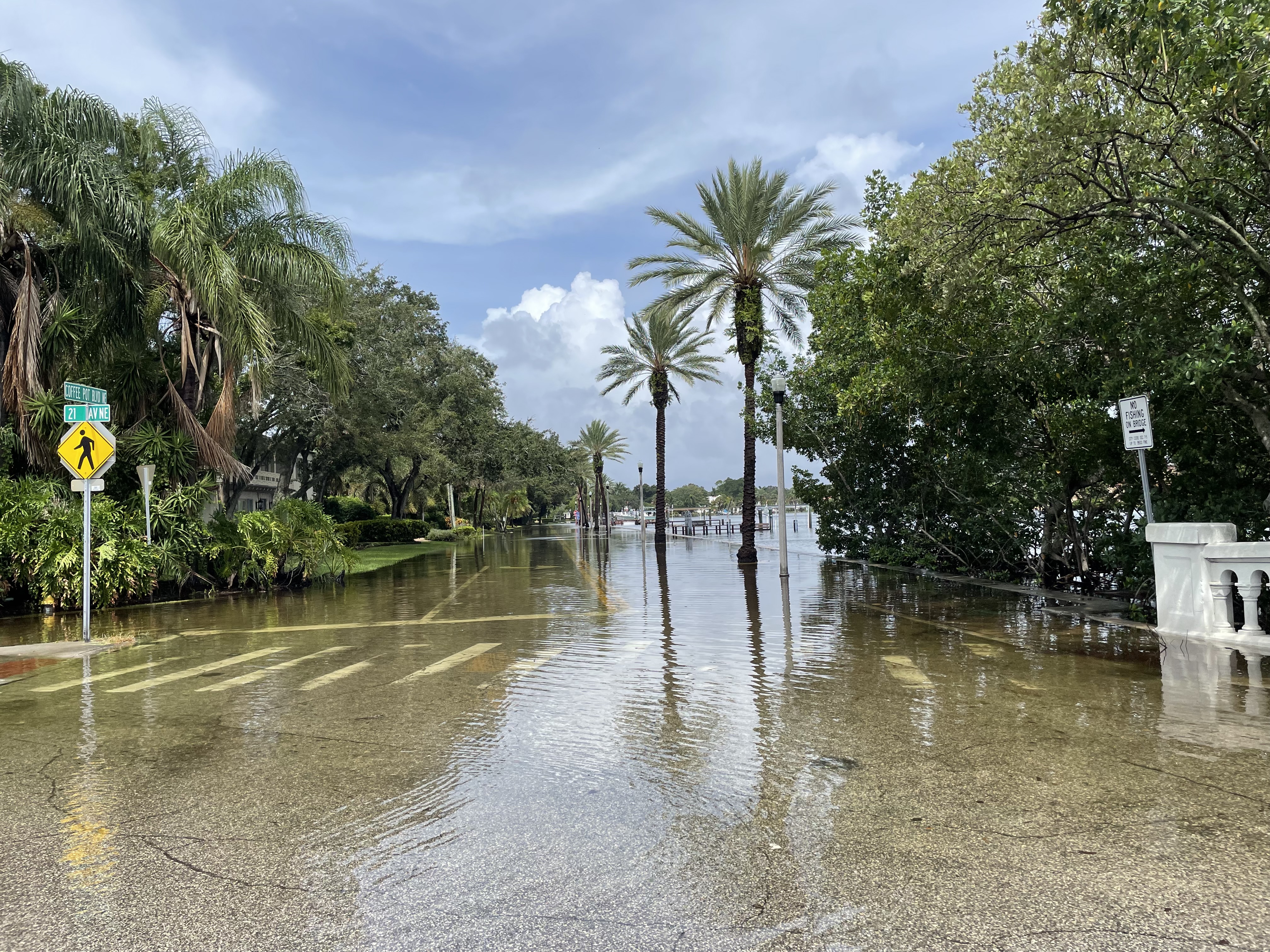 A tree-lined Florida street submerged in shallow standing floodwater under a partly cloudy sky.